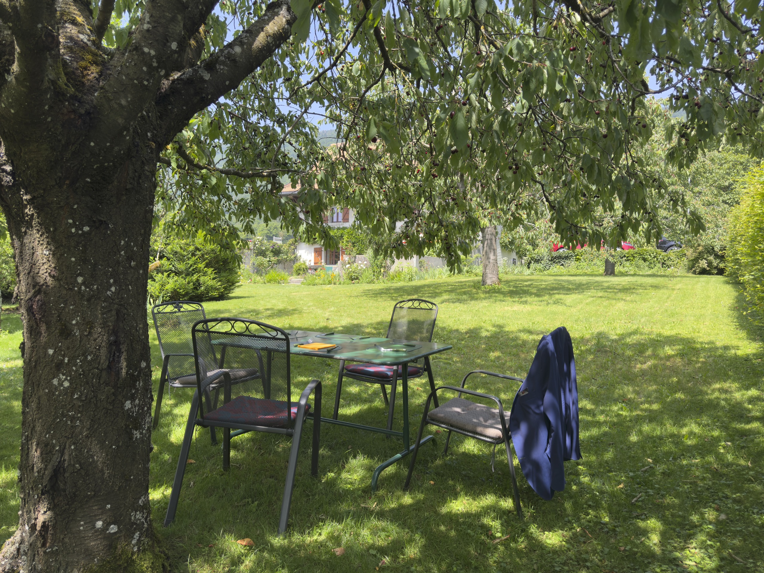 Garten mit Sitzgruppe unter Obstbaum