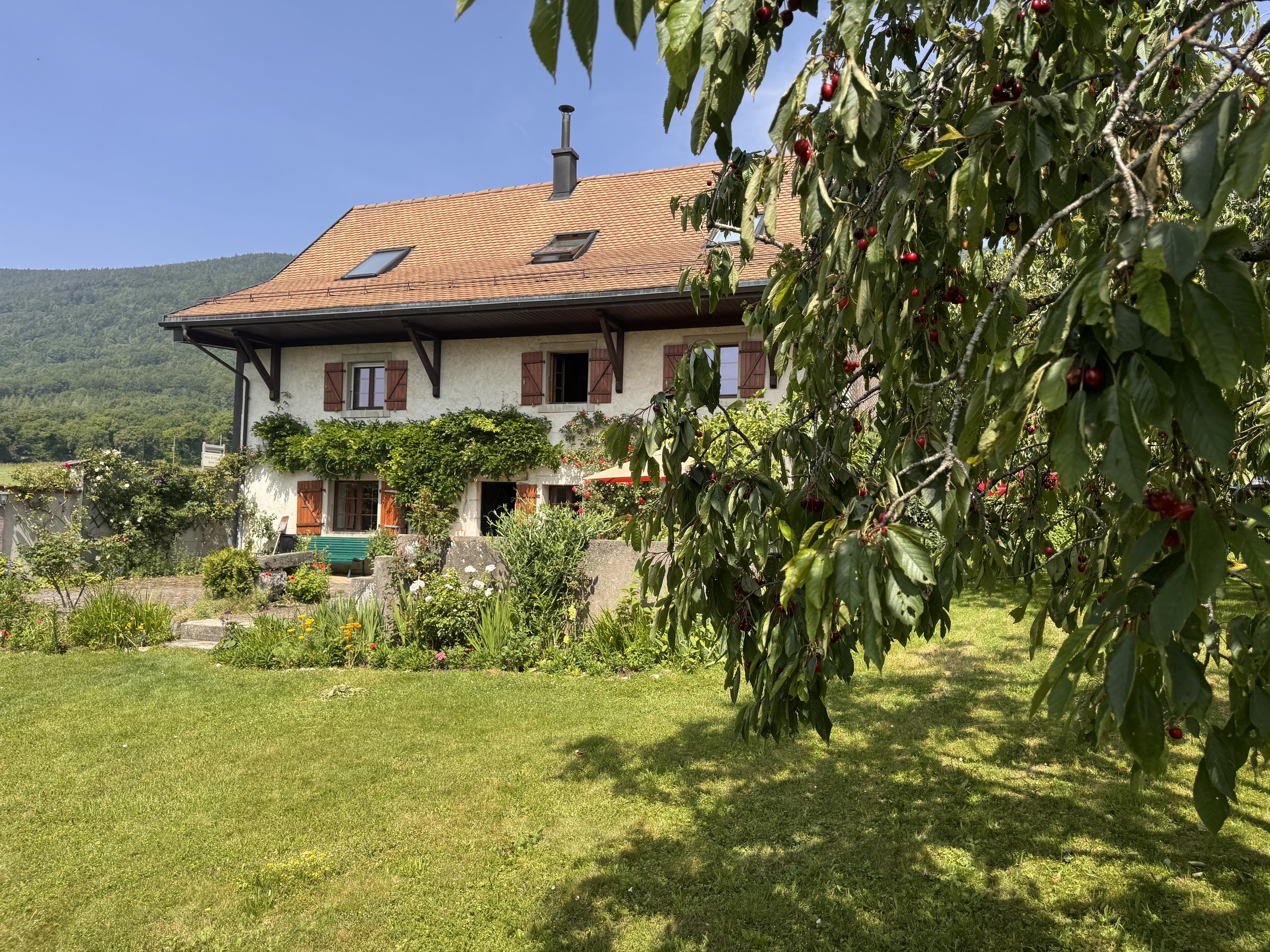 Landhaus mit großem Garten und Bergkulisse