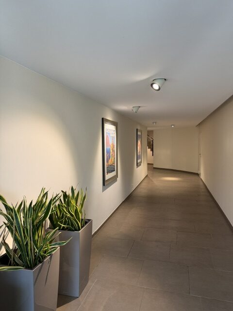 Flur mit Kunst und Pflanzen