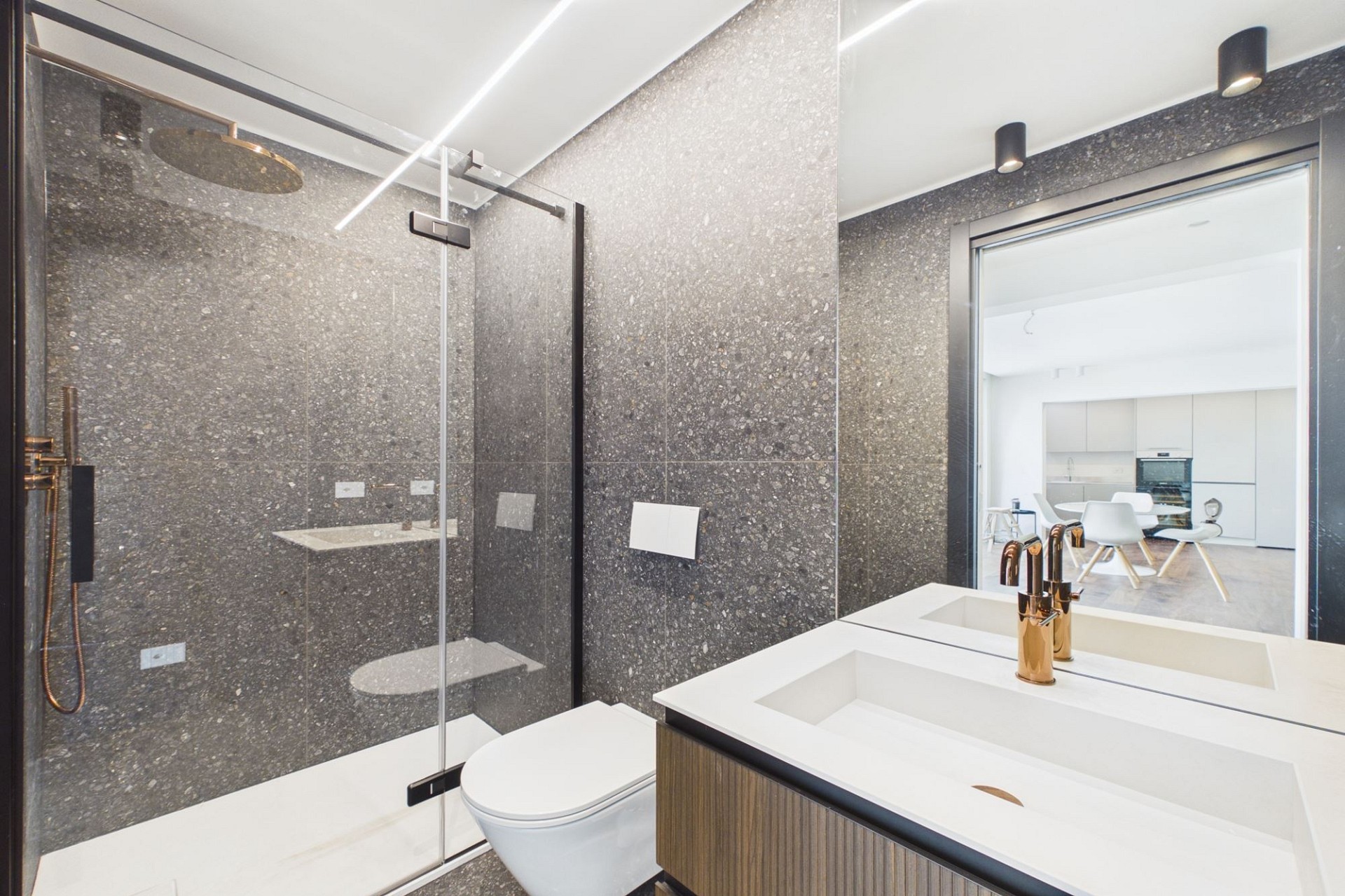 Modernes Badezimmer mit offener Dusche und Blick in den Wohnbereich