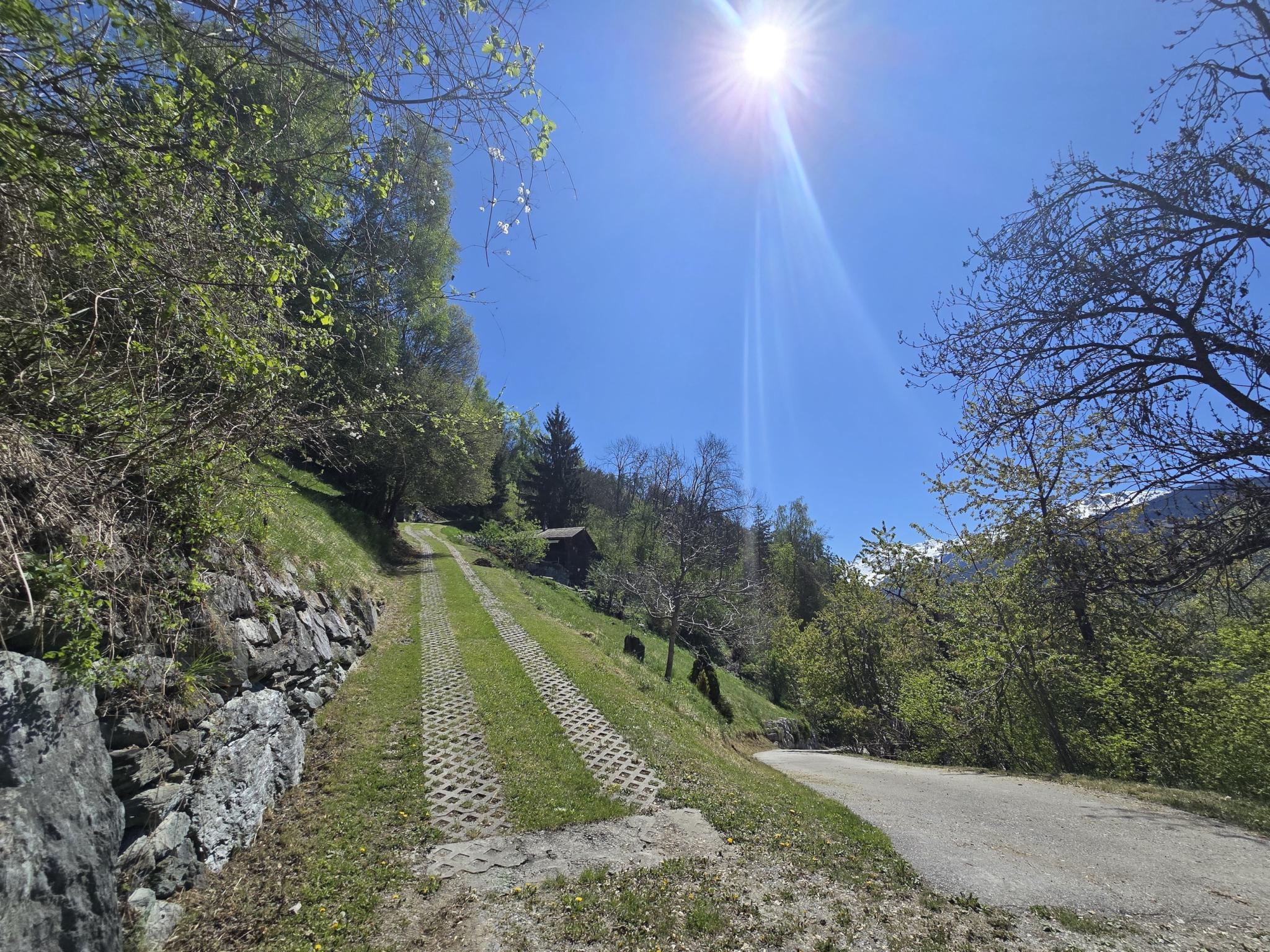 Alpiner Zufahrtsweg im Grünen