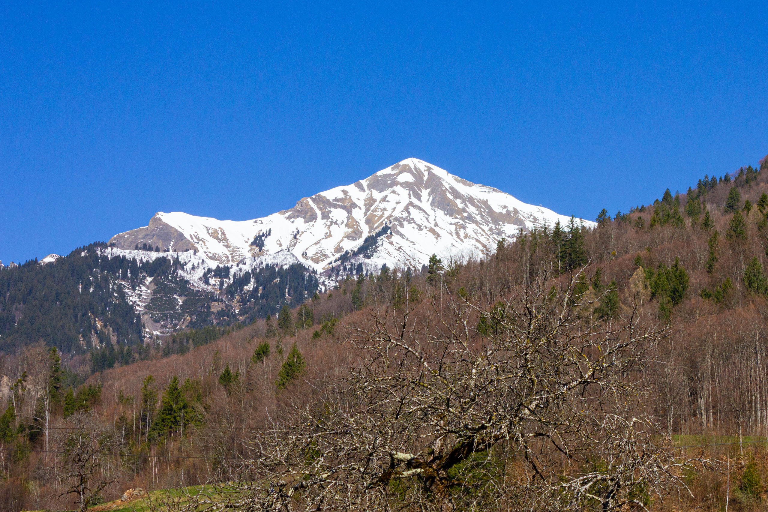 Berglandschaft mit schneebedecktem Gipfel