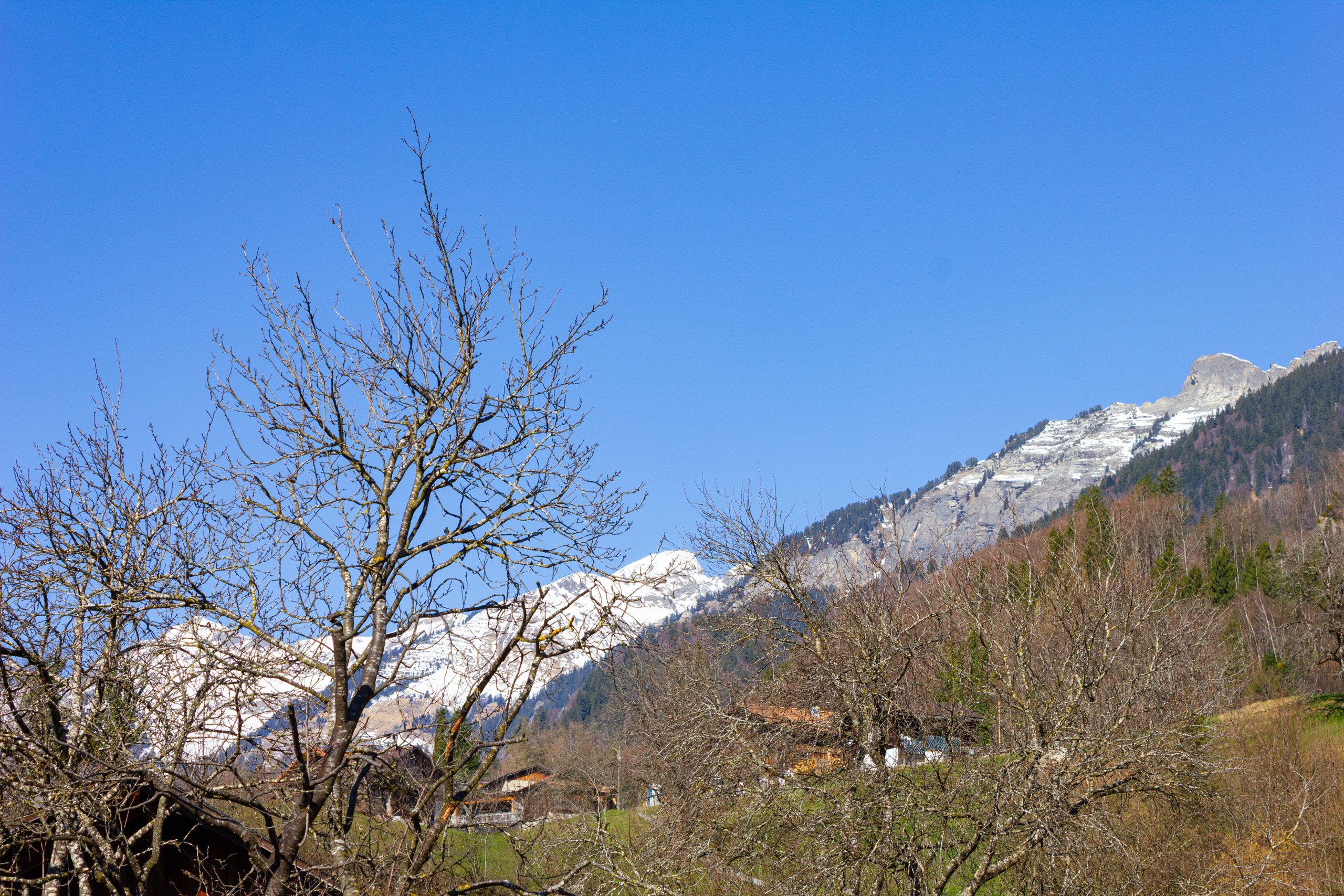 Alpenlandschaft mit Schneegipfeln