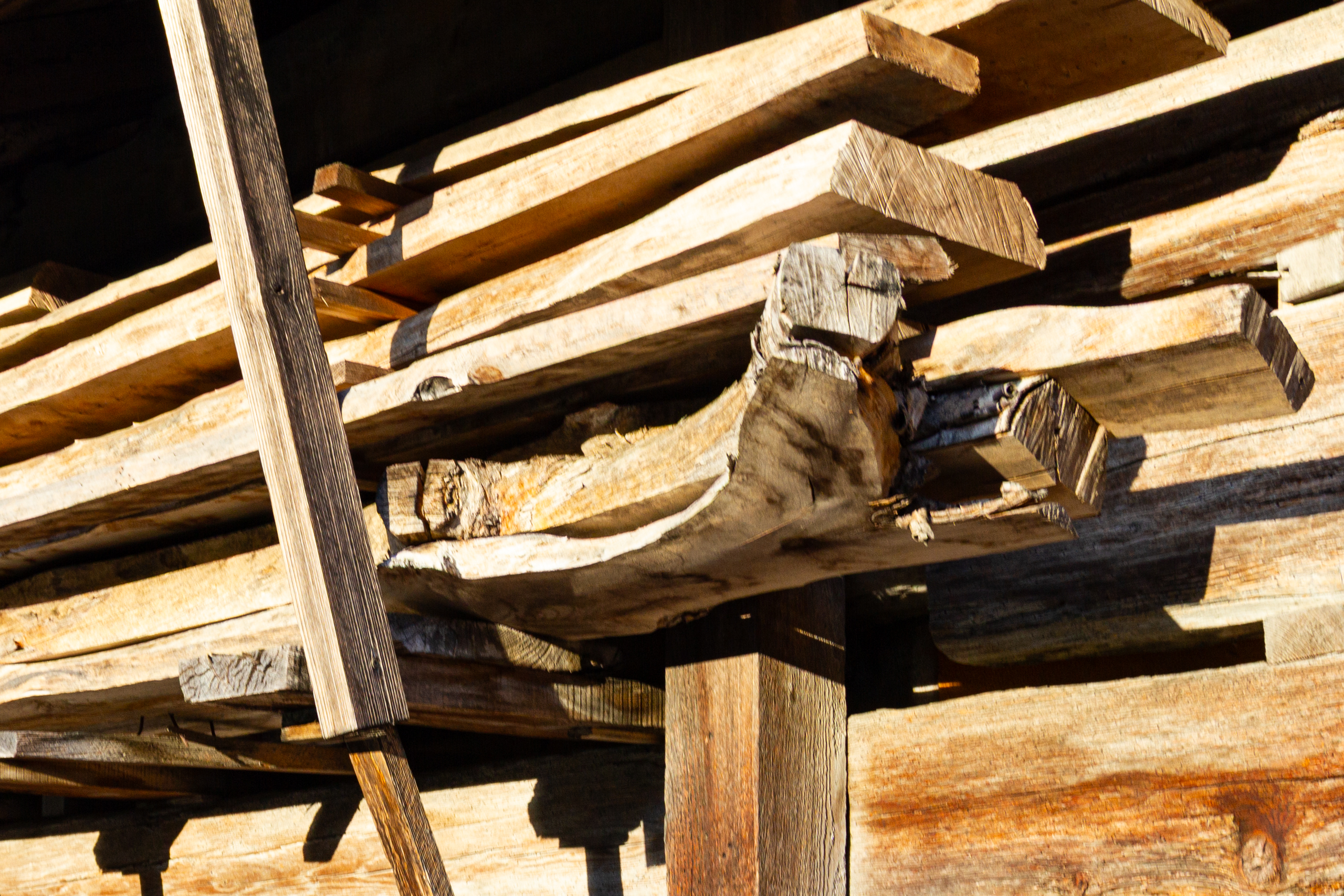 Holzstapel in Nahaufnahme
