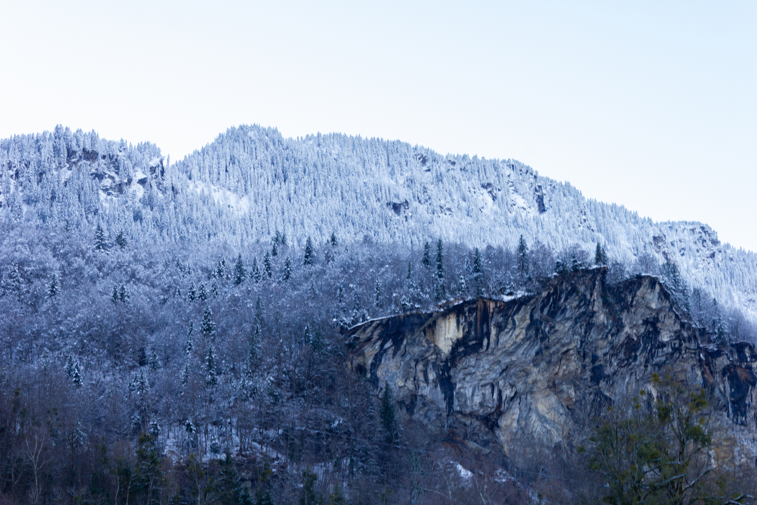Schneebedeckter Bergwald mit Felswand