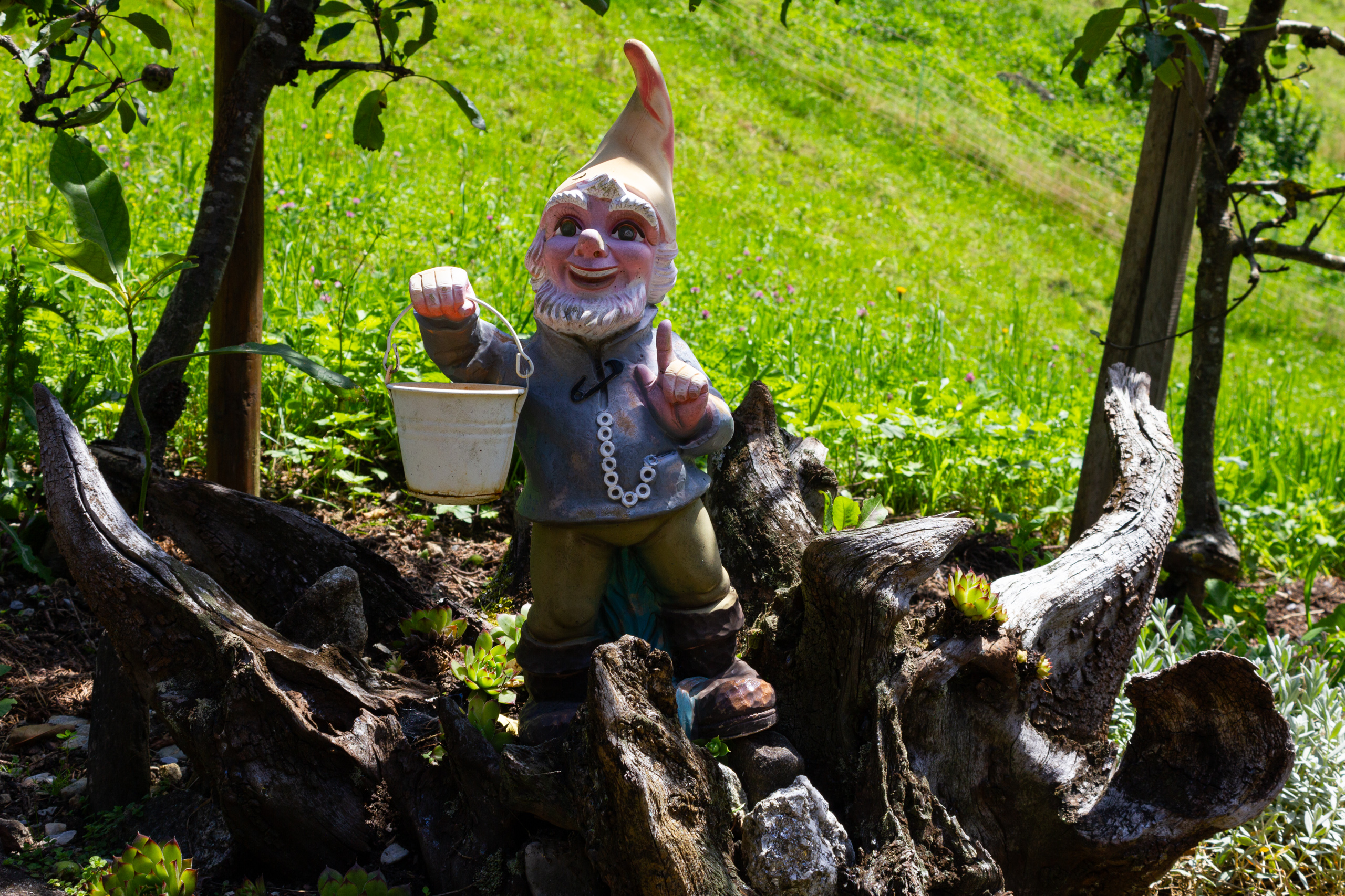 Gartendekoration mit Zwergfigur