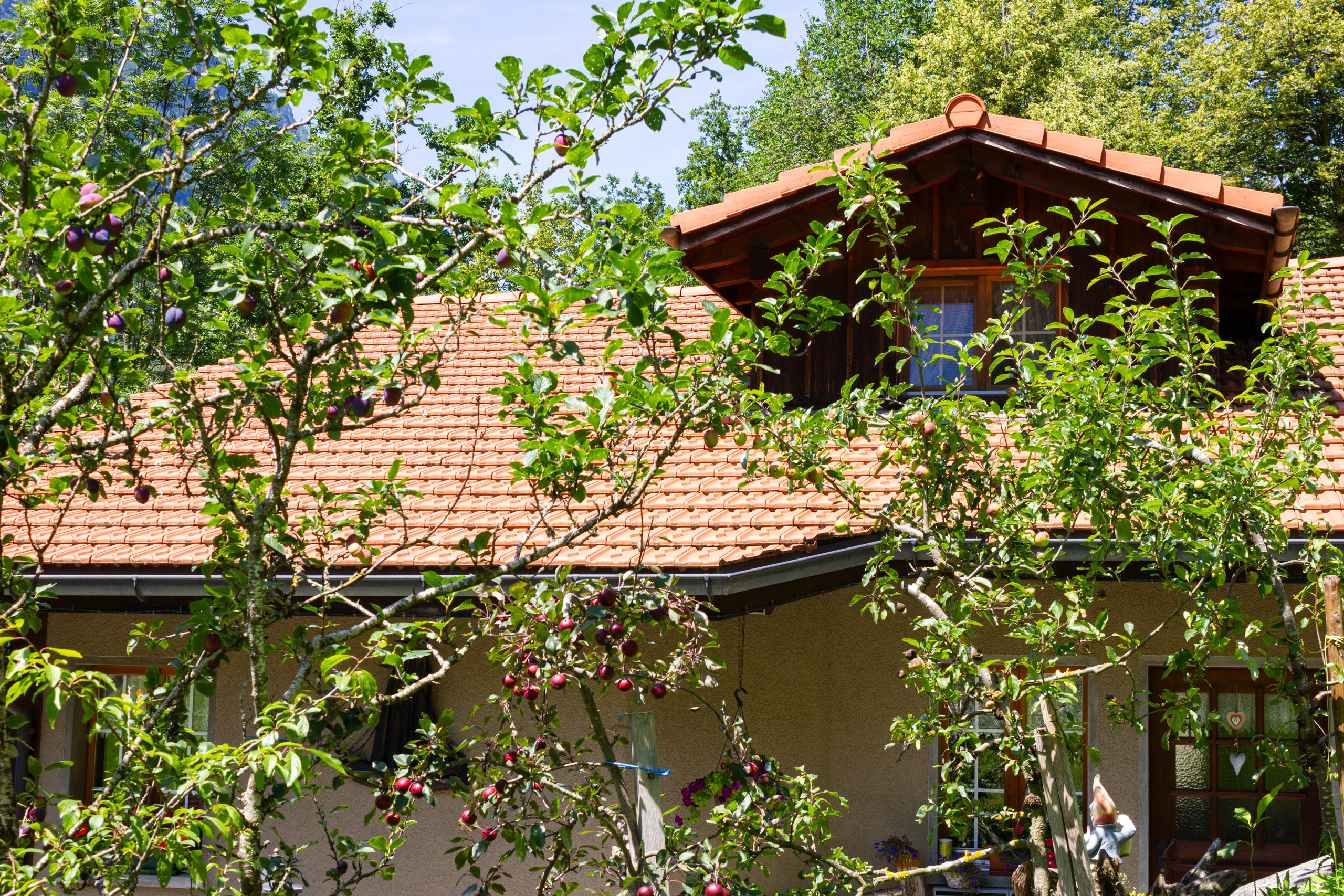 Haus mit Ziegeldach und Obstbäumen im Garten