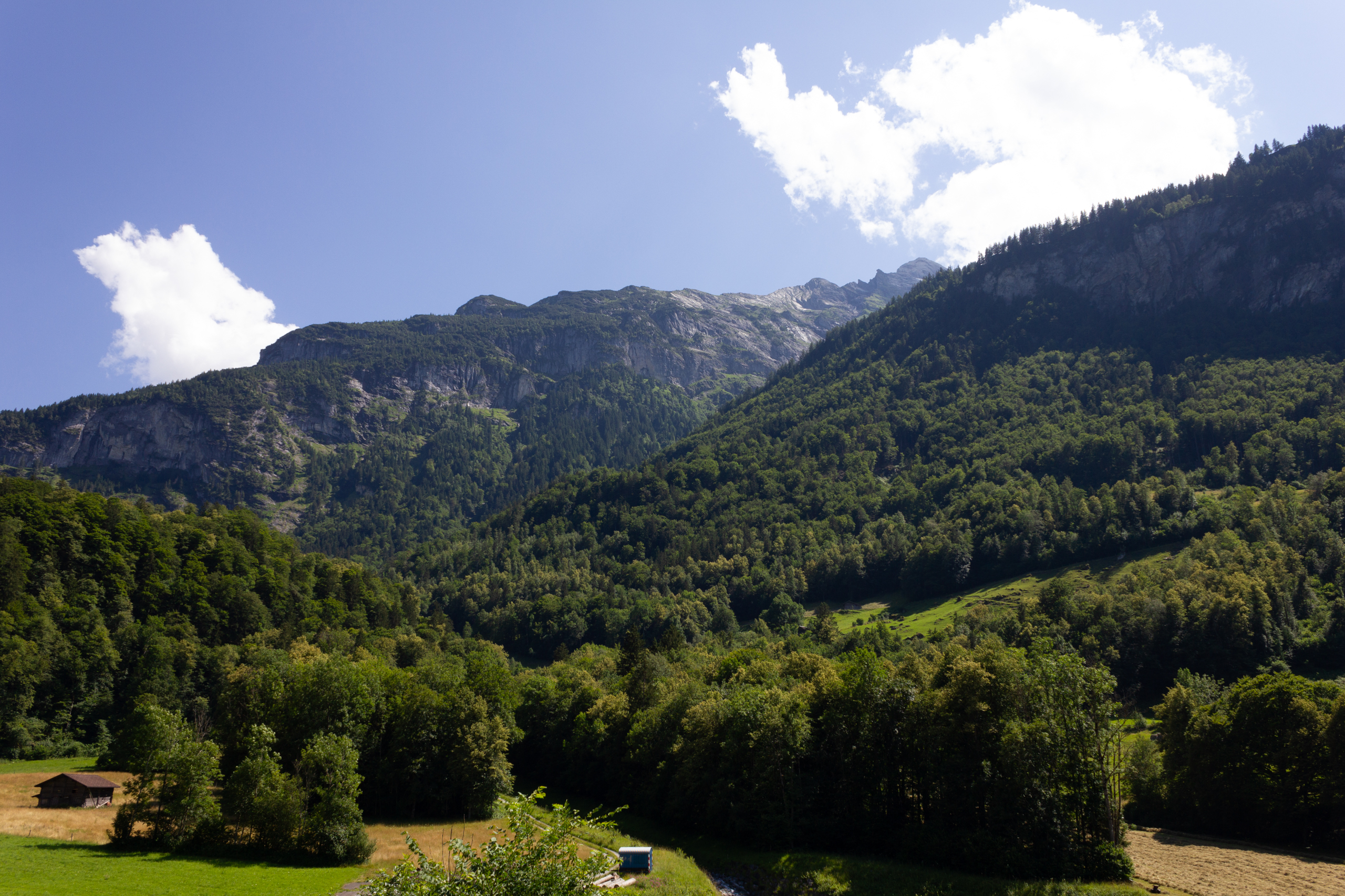Alpine Landschaft mit Tal und Bergkette