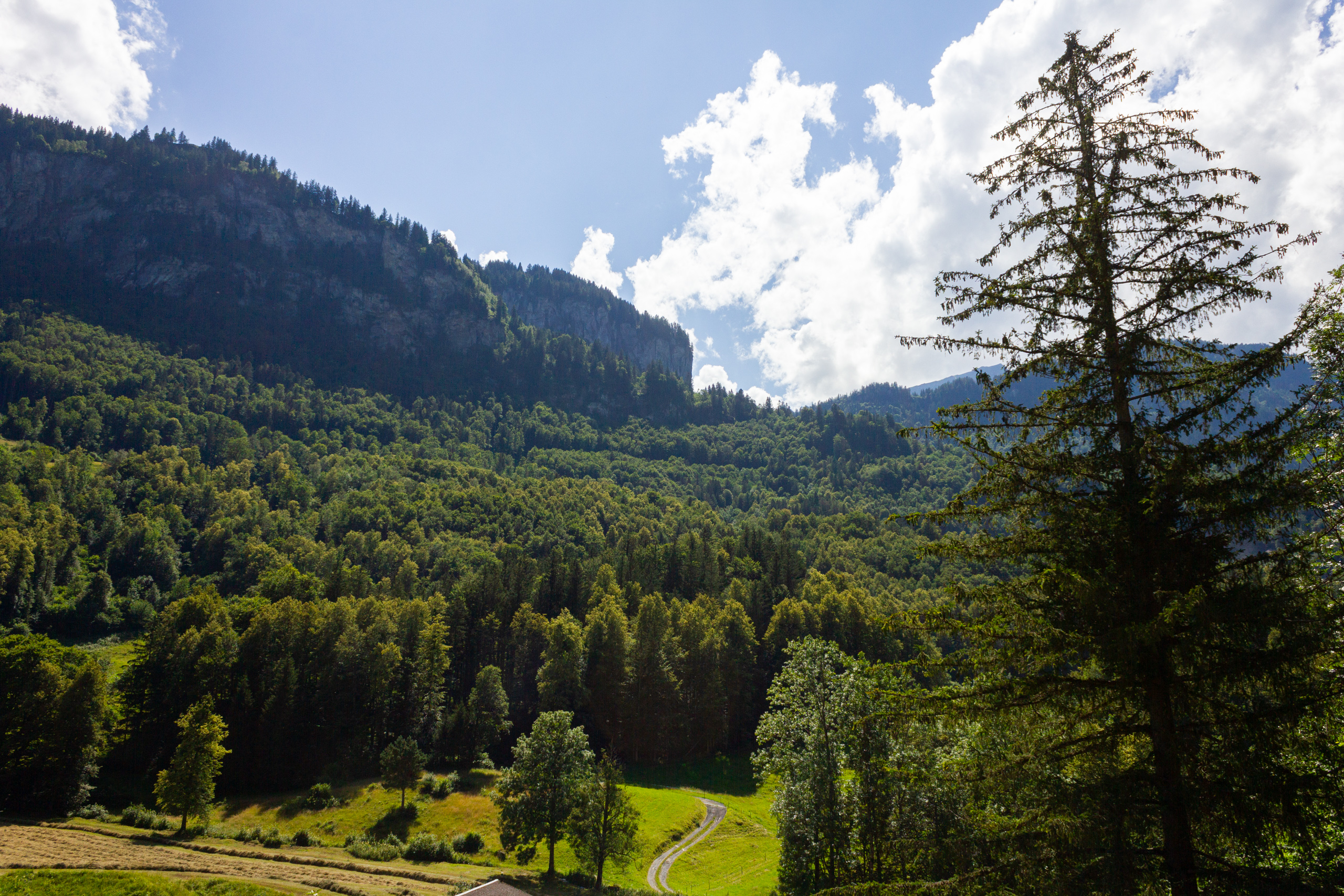 Berglandschaft mit Waldtal und Felswand