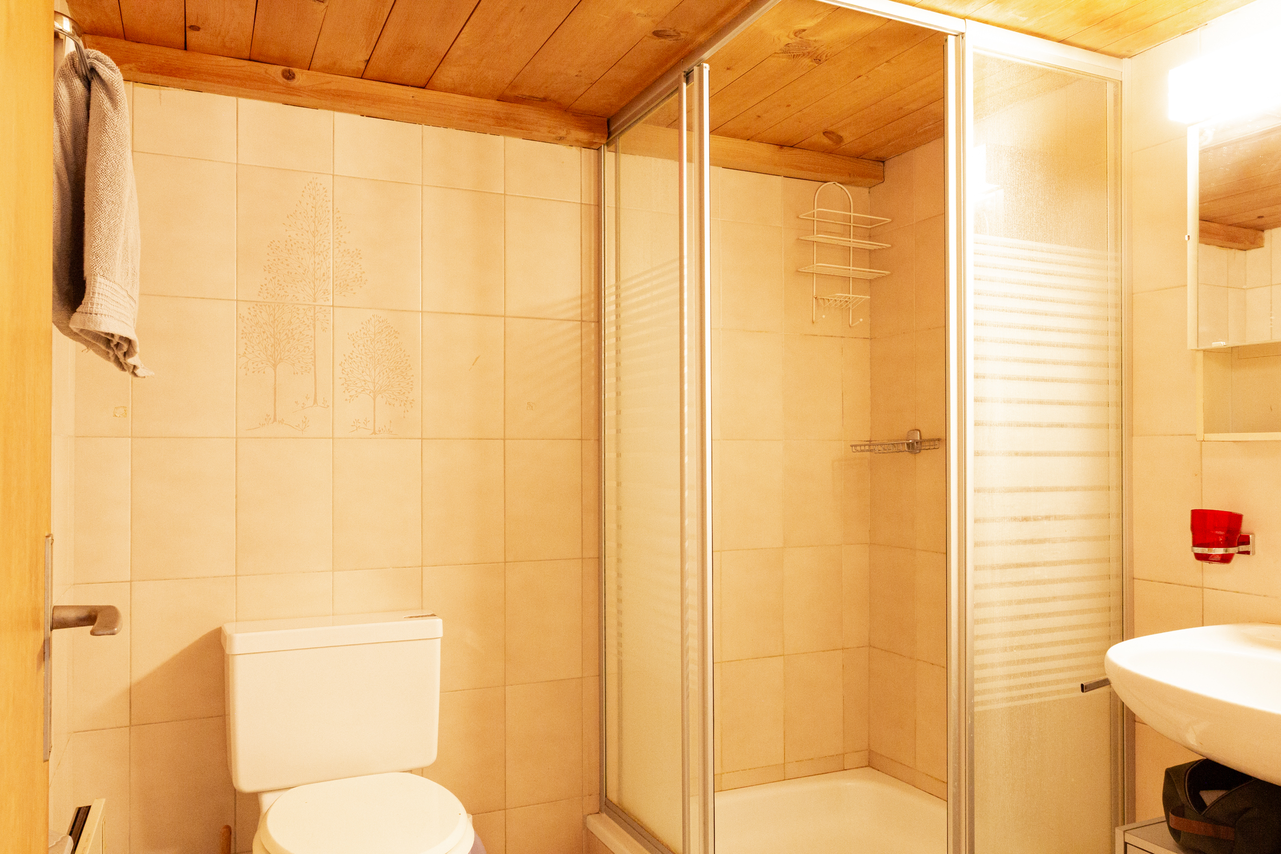 Kleines Badezimmer mit Dusche und WC