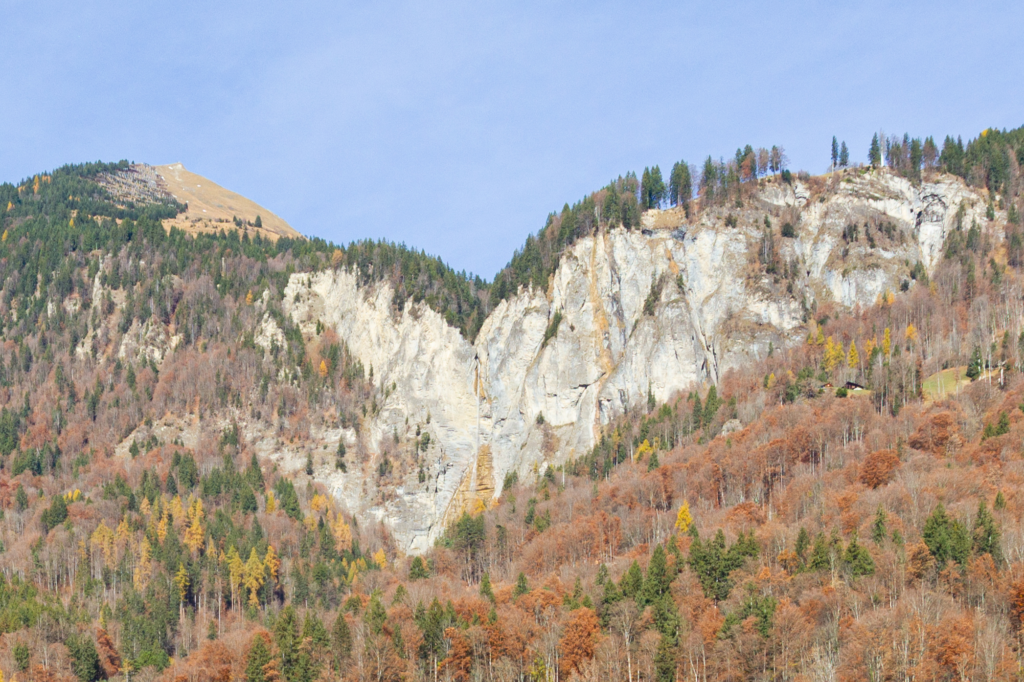 Berglandschaft mit Felsklippe und Herbstwald