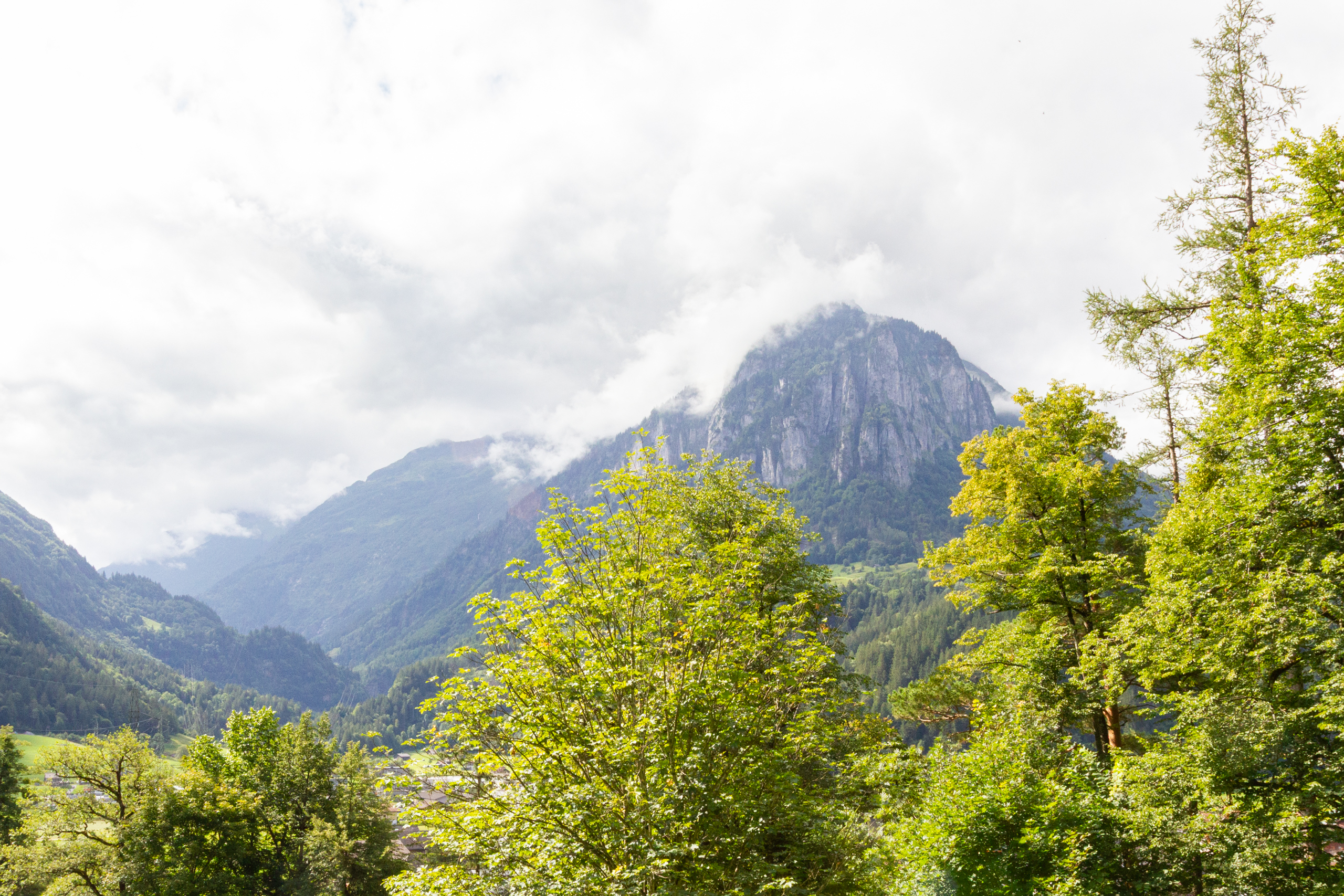 Berglandschaft mit Tal und Wäldern