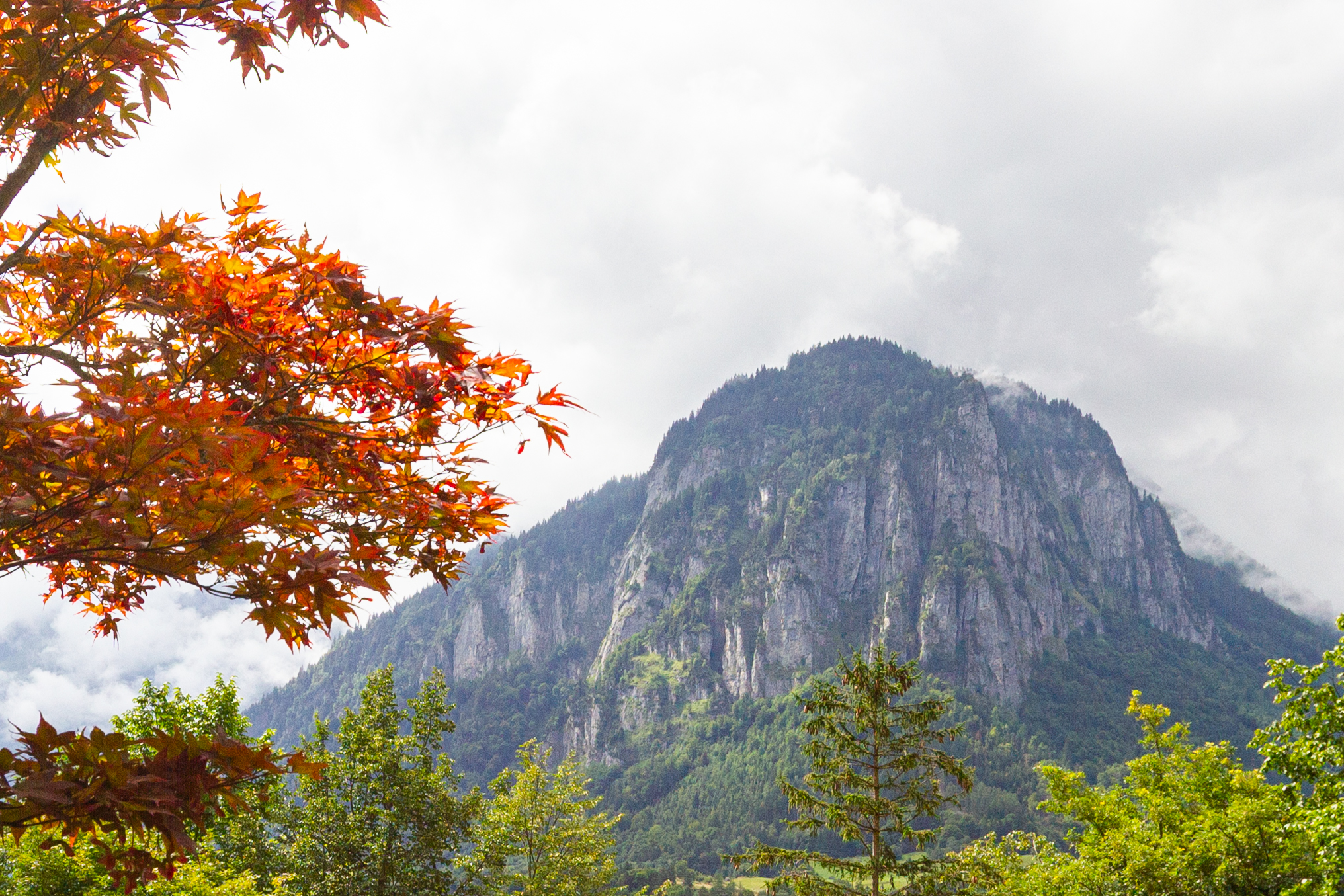 Berglandschaft mit herbstlichem Laub im Vordergrund