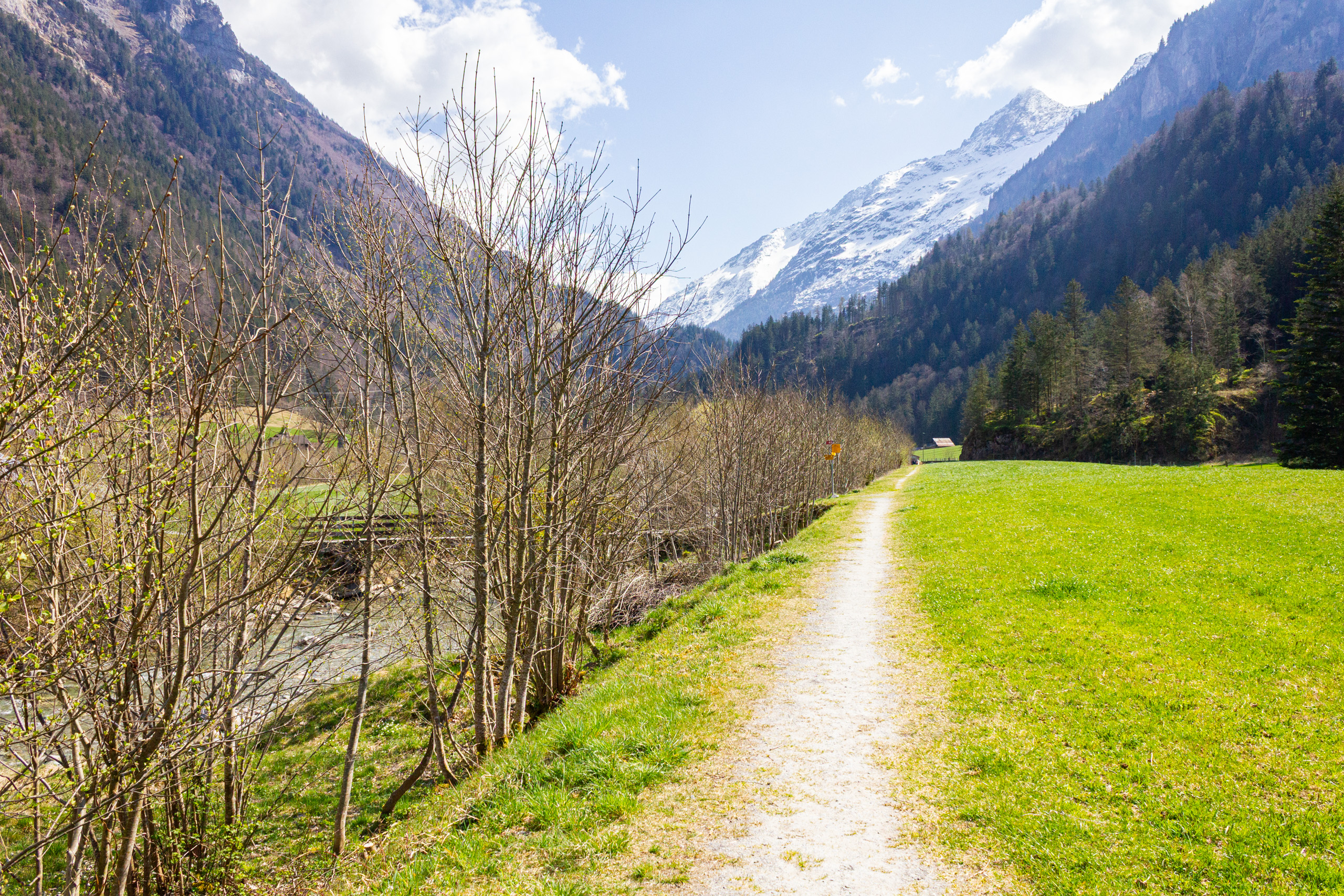 Alpenlandschaft mit Wiese und Bergblick