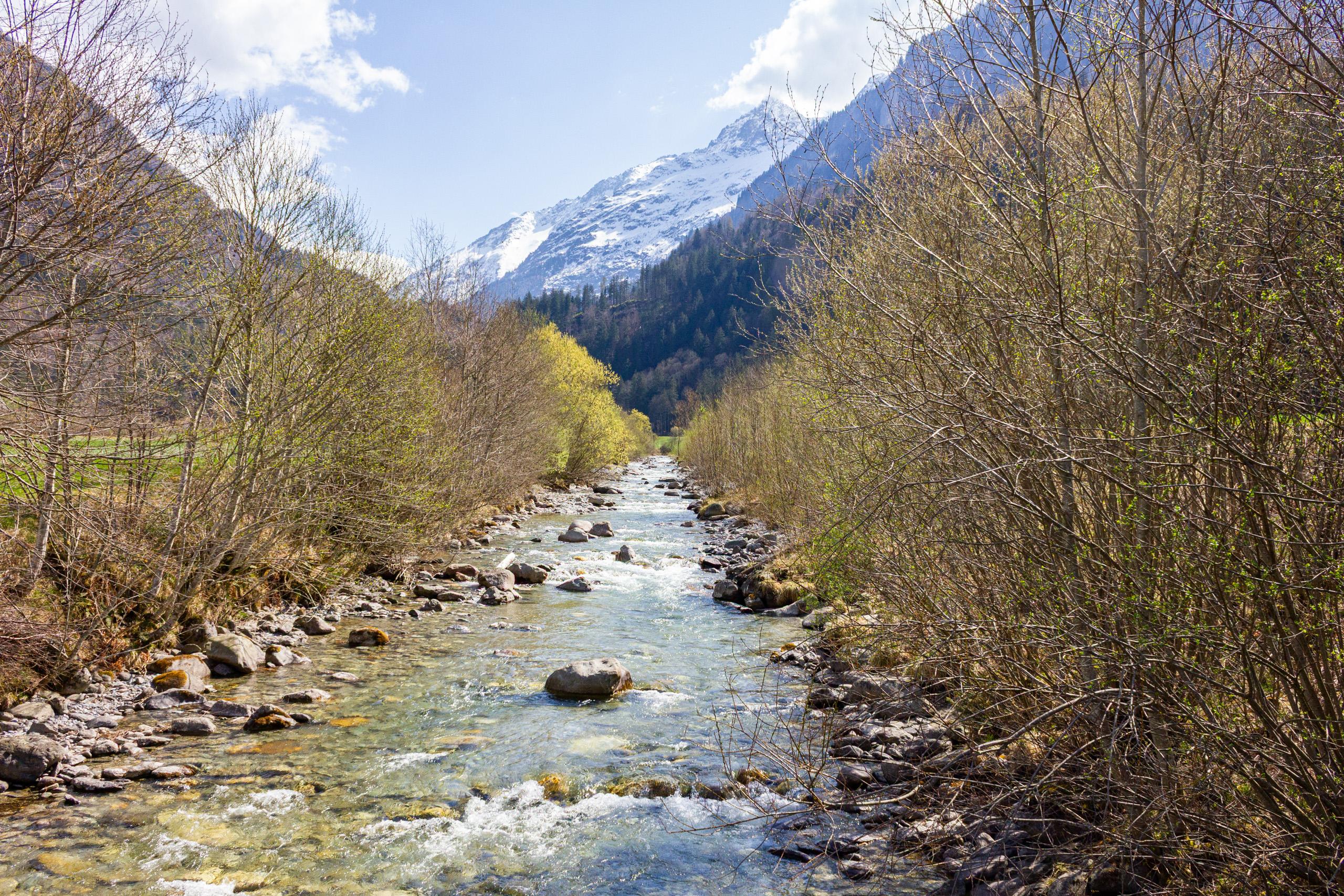 Alpental mit Bachlauf