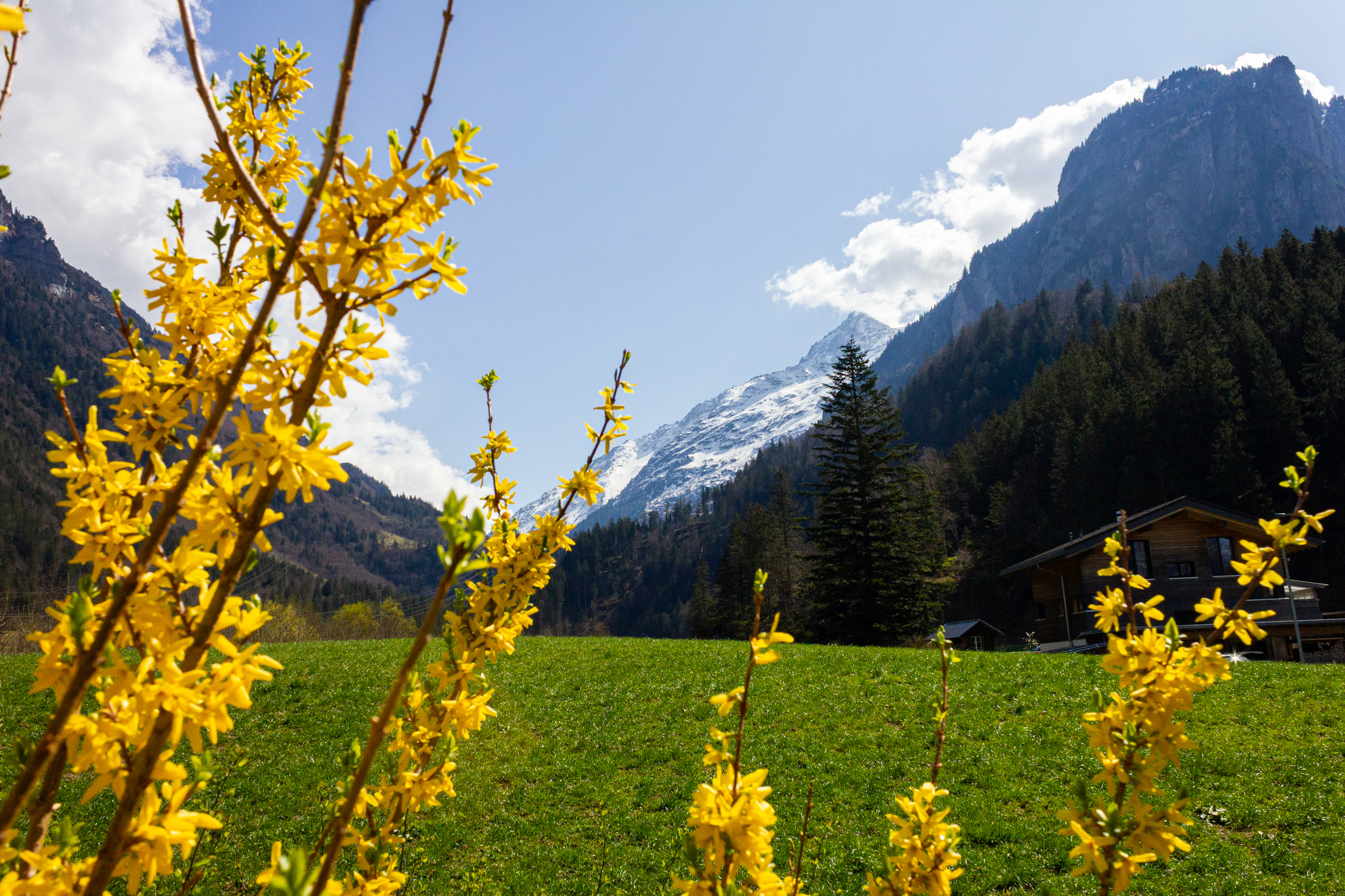 Alpine Landschaft mit Haus im Tal