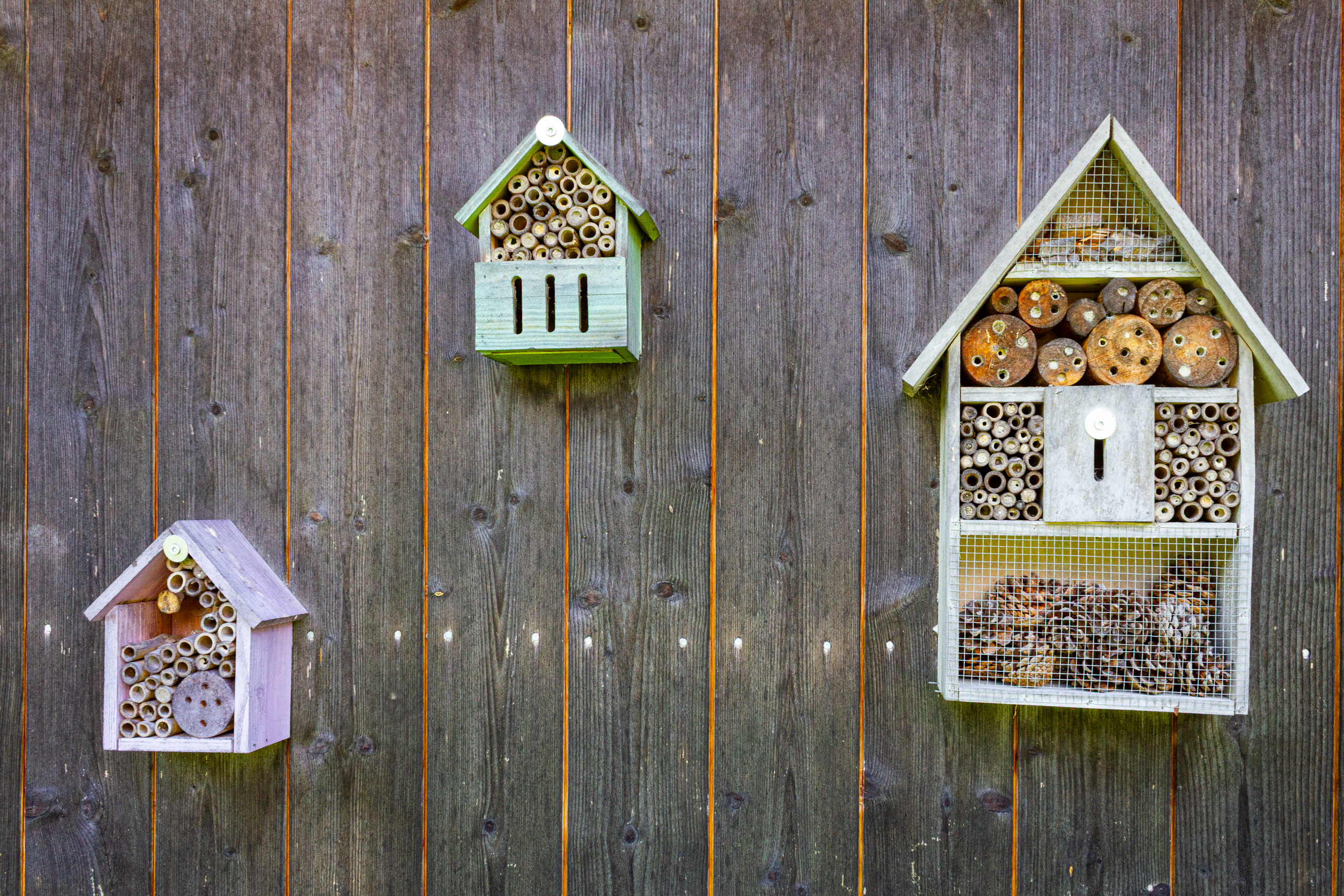 Holzwand mit Insektenhotels