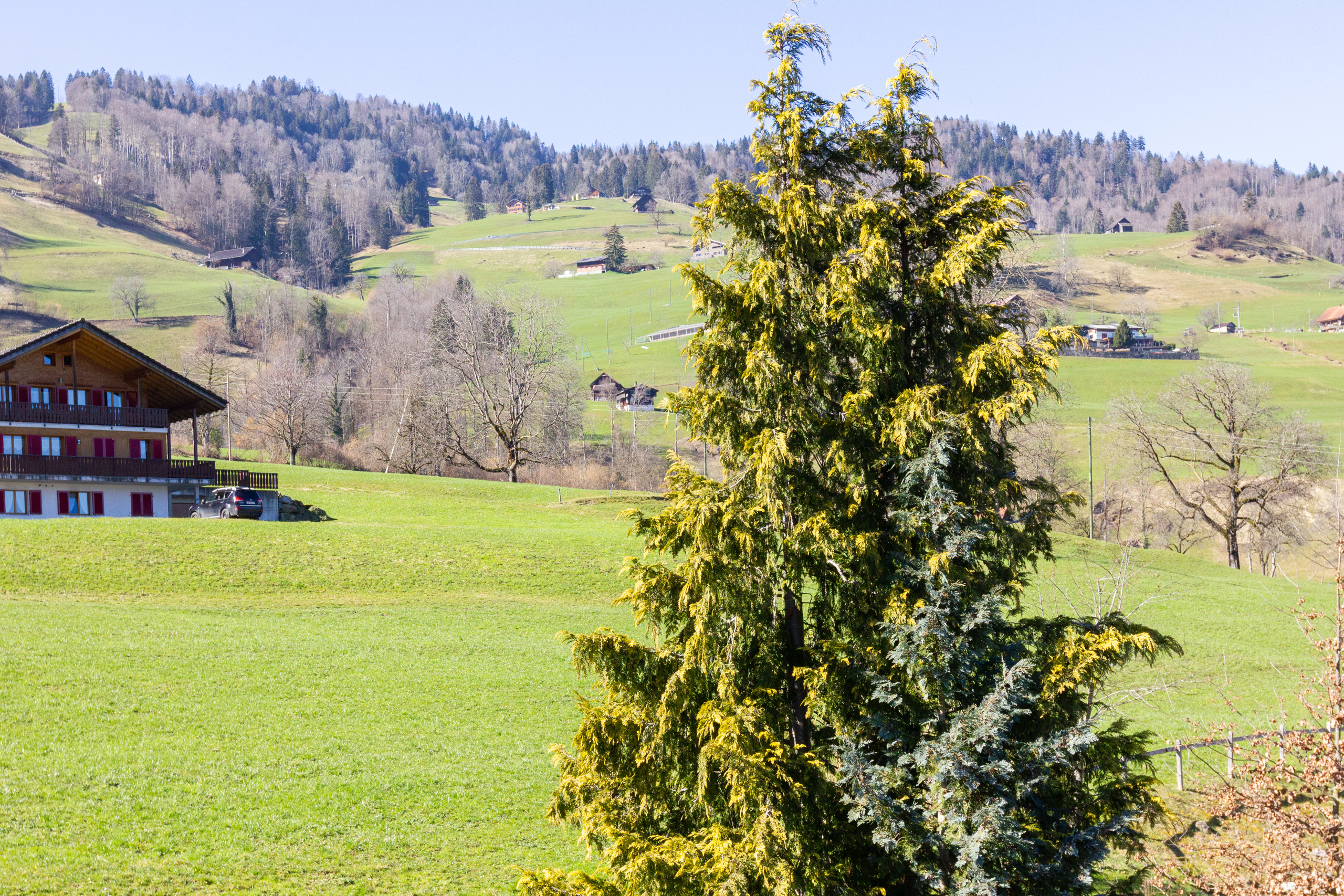 Landschaft mit Bergwiesen und Alpenhaus