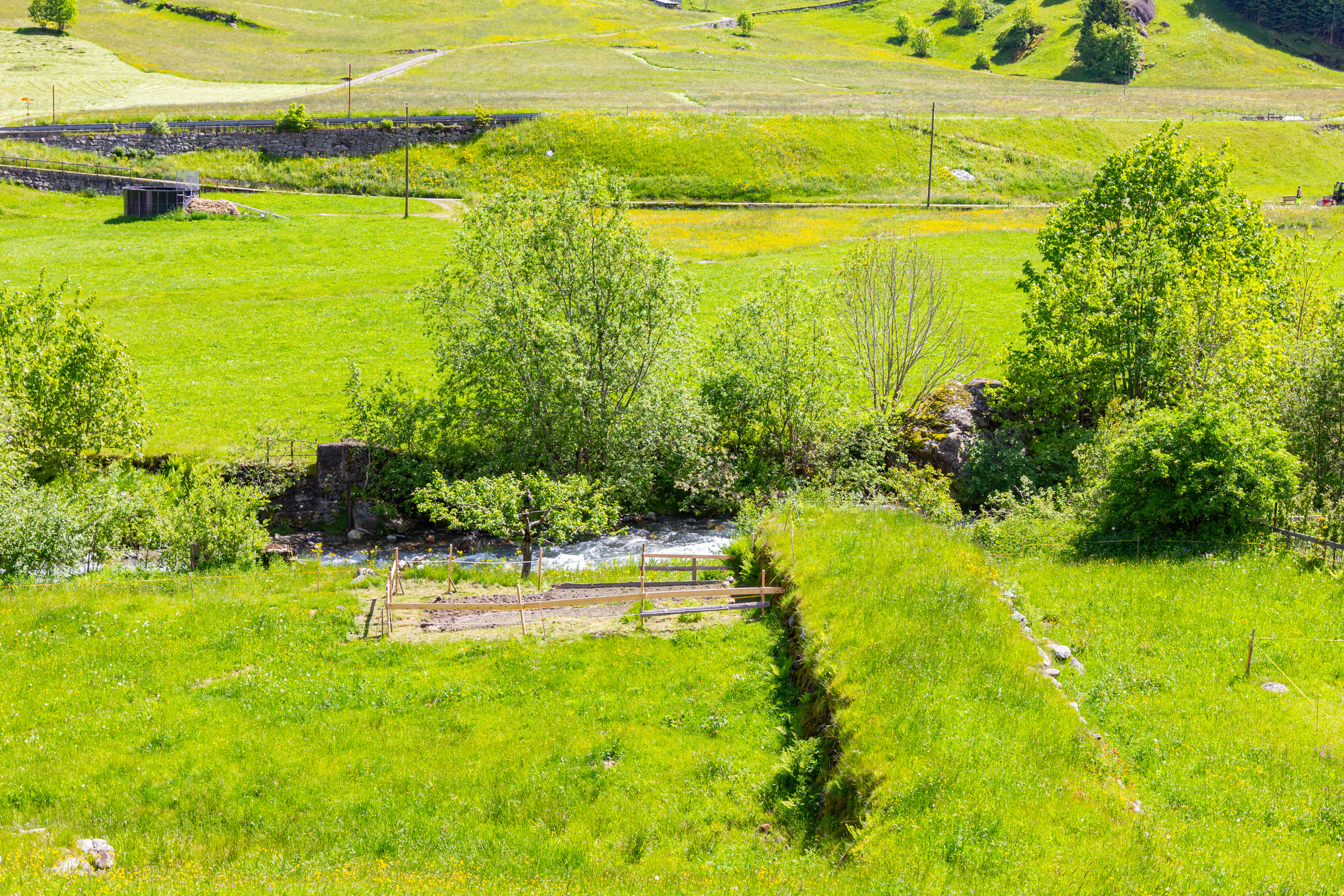 Grüne Wiesenlandschaft mit Bachlauf