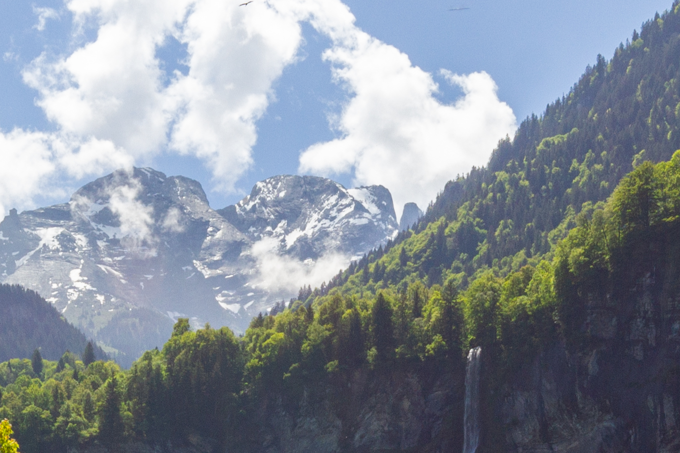 Berglandschaft mit Schneegipfeln und Waldhängen