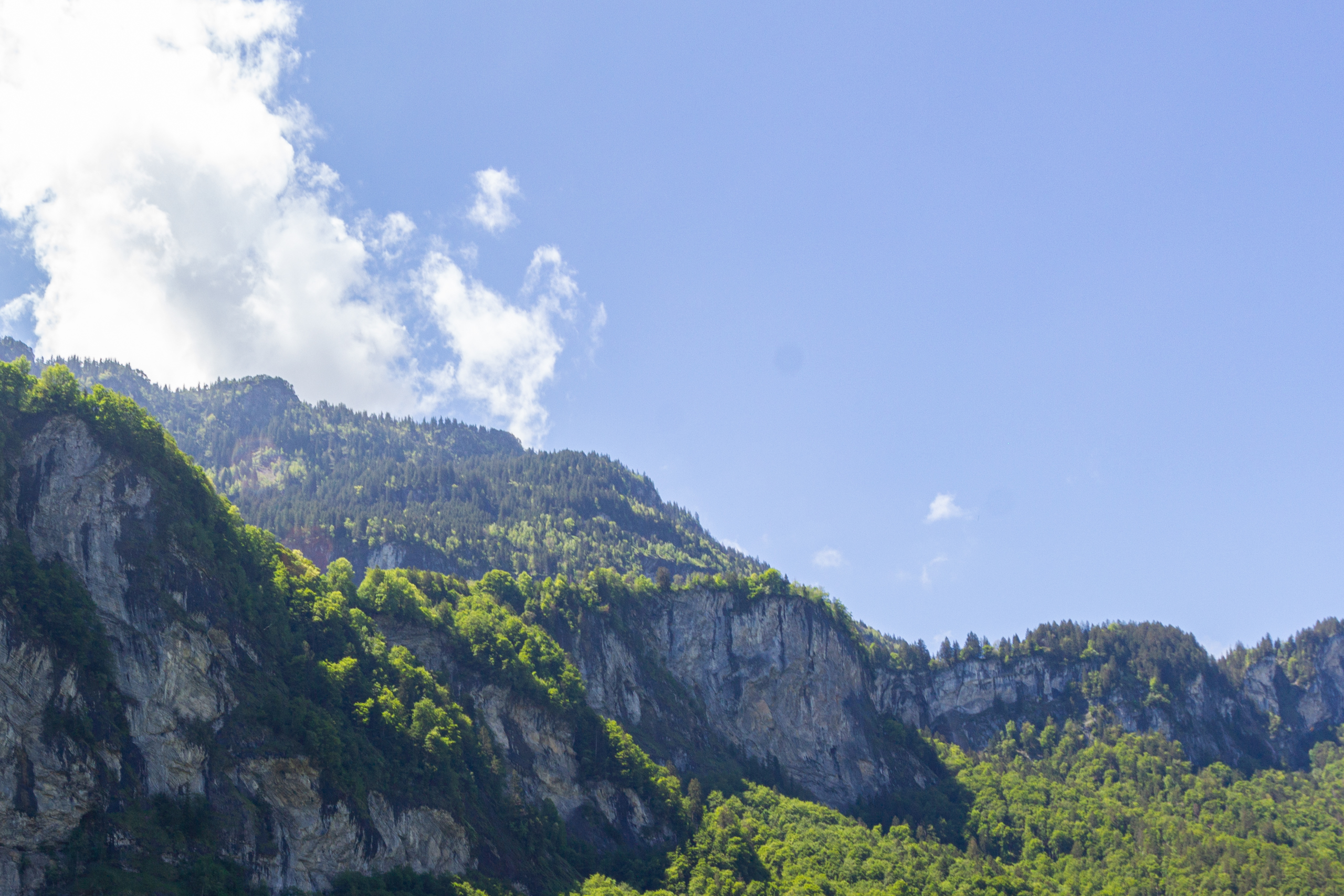 Berglandschaft mit Felswänden und Wald