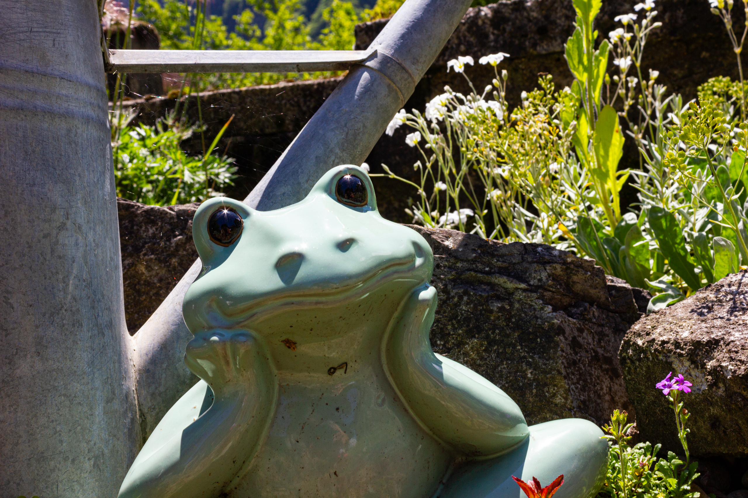 Froschfigur im Garten