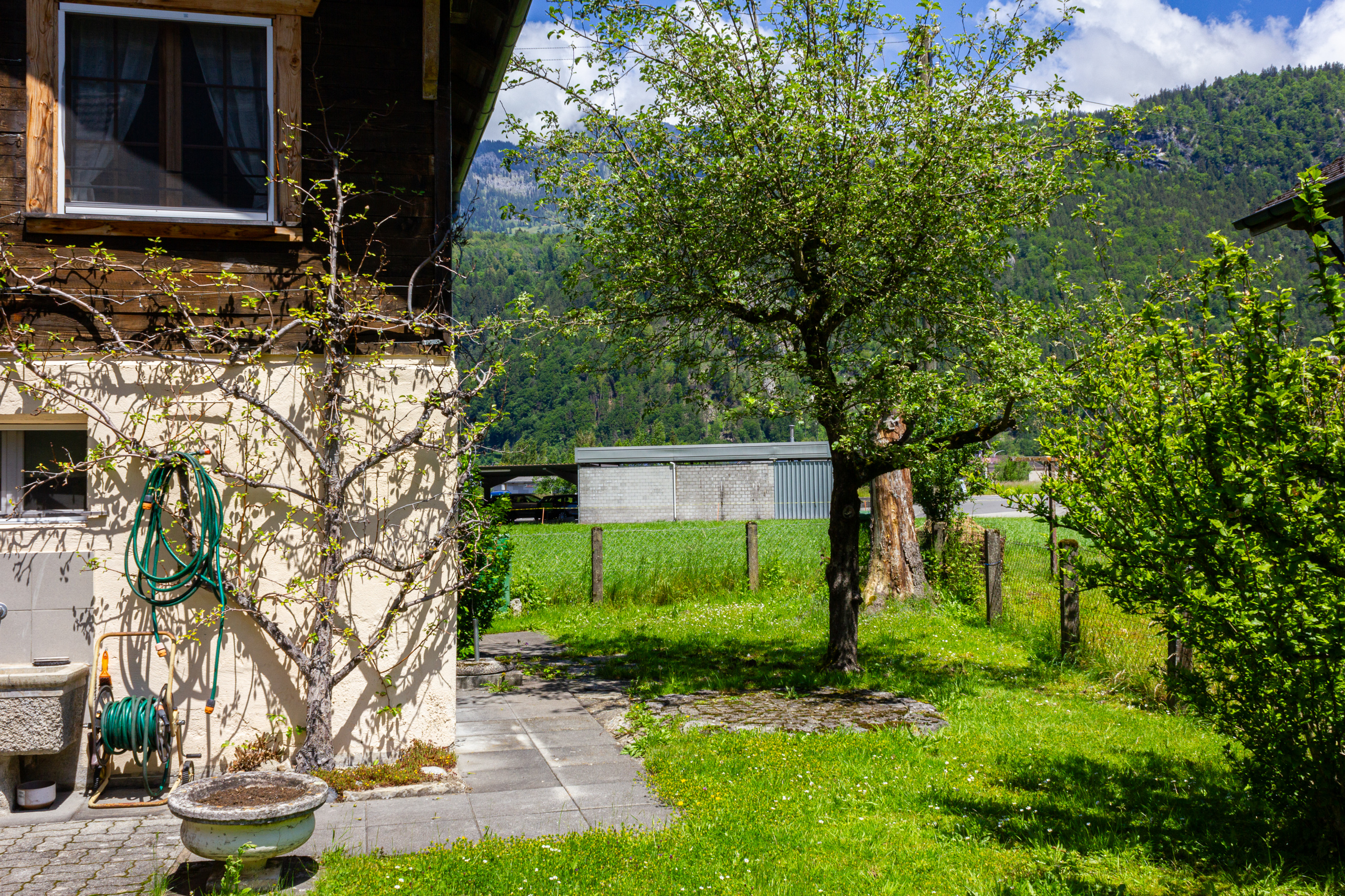Gartenansicht mit Bergkulisse
