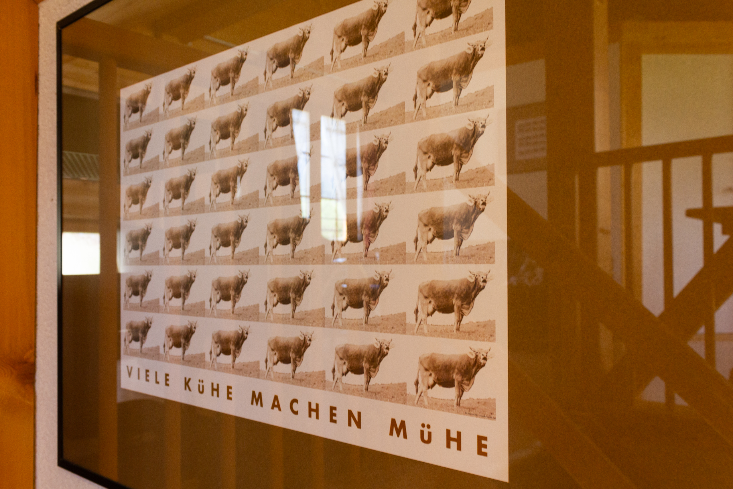 Gerahmtes Poster mit wiederholten Kuhmotiven
