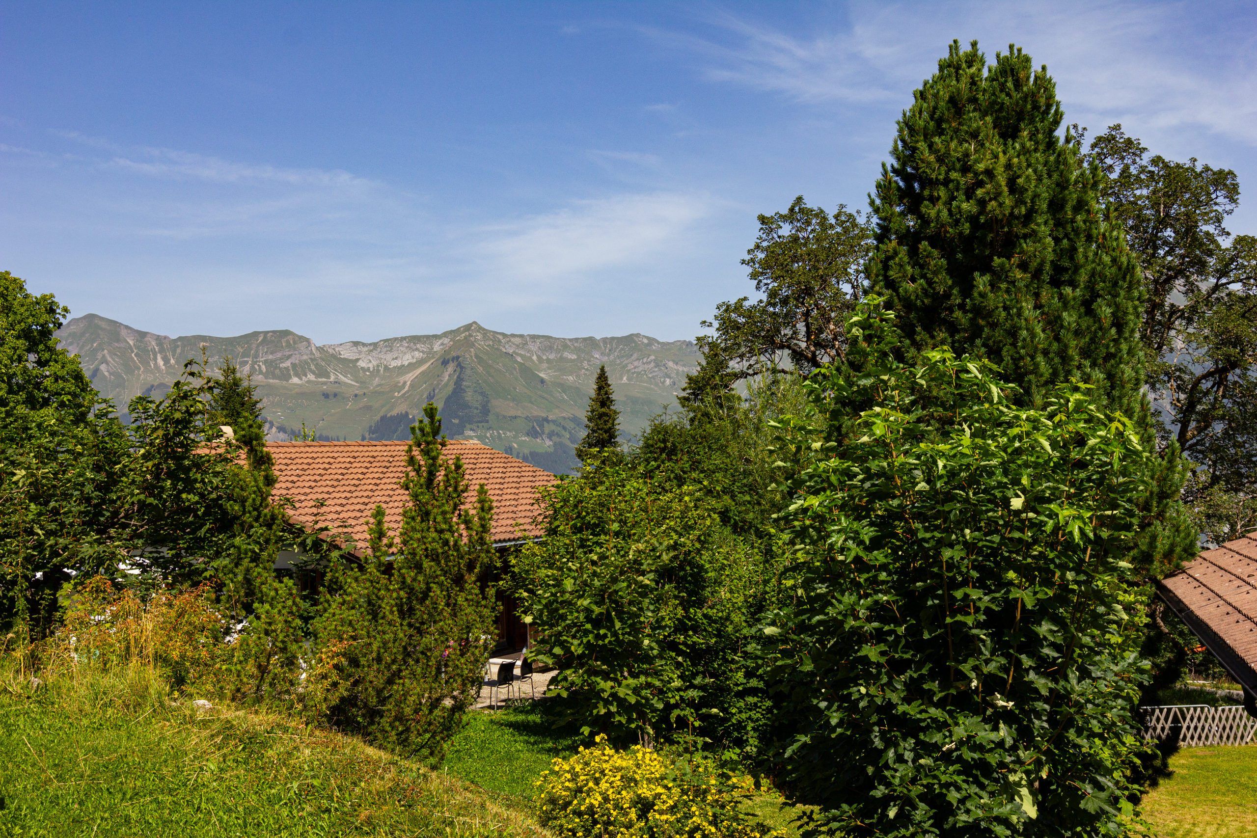 Garten mit Bergblick