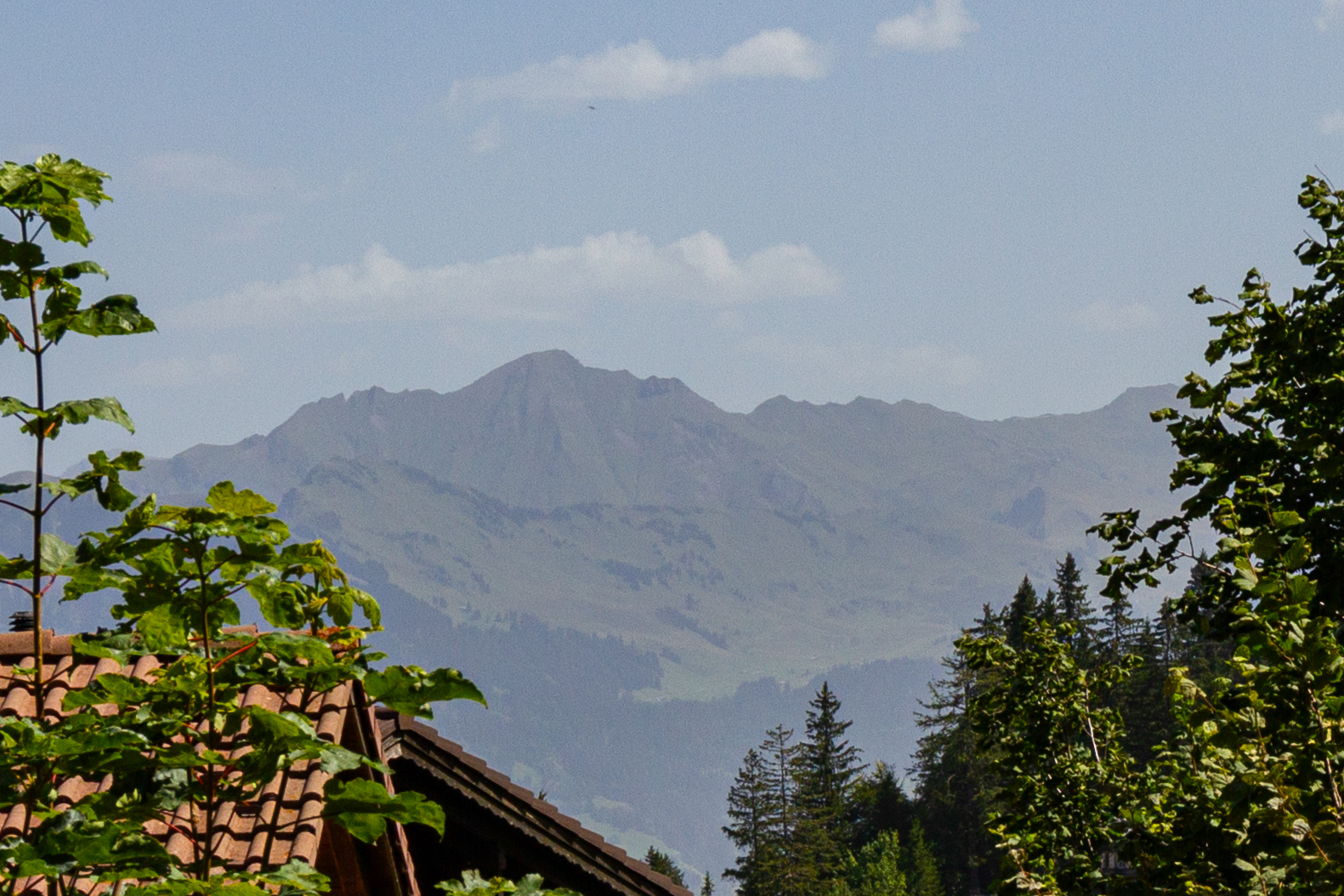 Bergblick über ein Hausdach