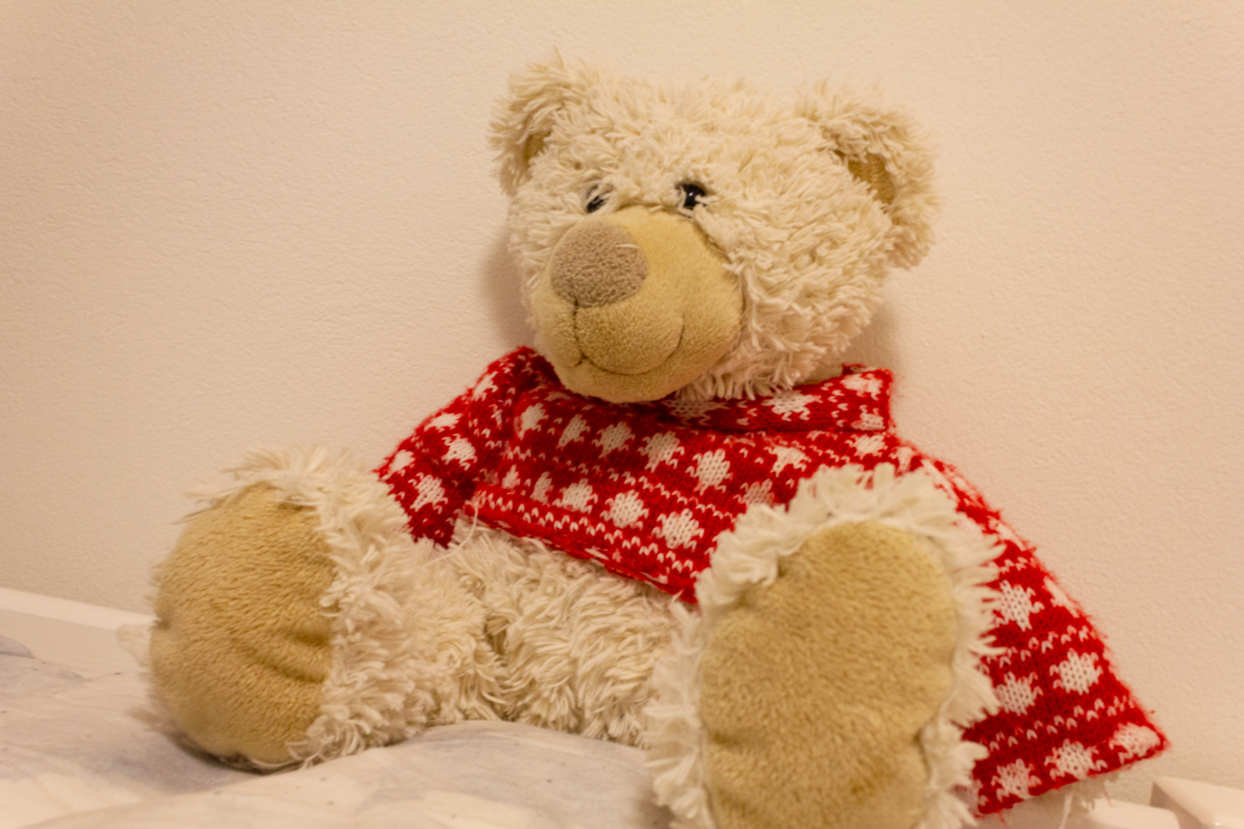 Teddybär mit rotem Pullover