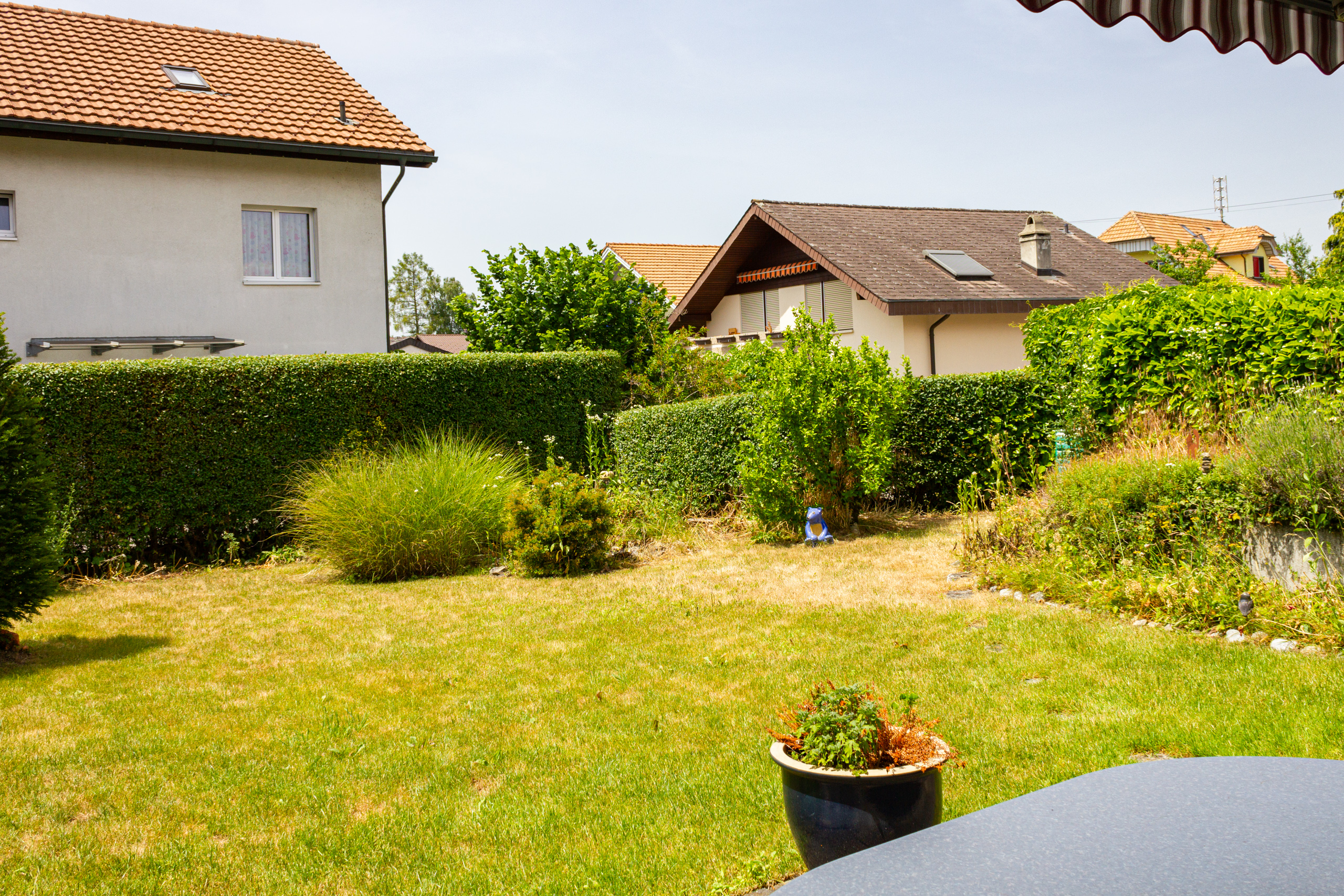 Garten mit Wohnhäusern
