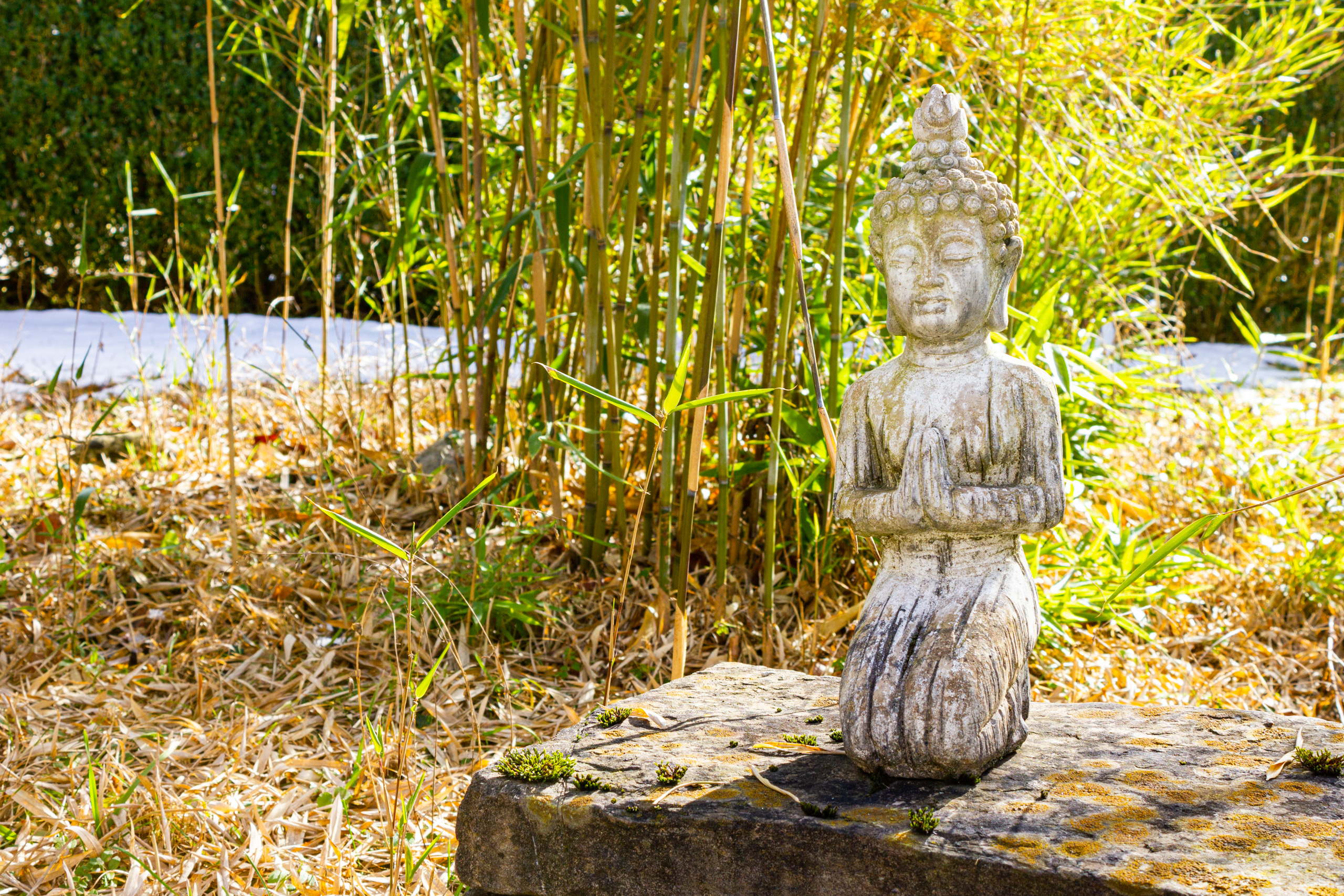 Meditative Gartenfigur im Bambusbeet