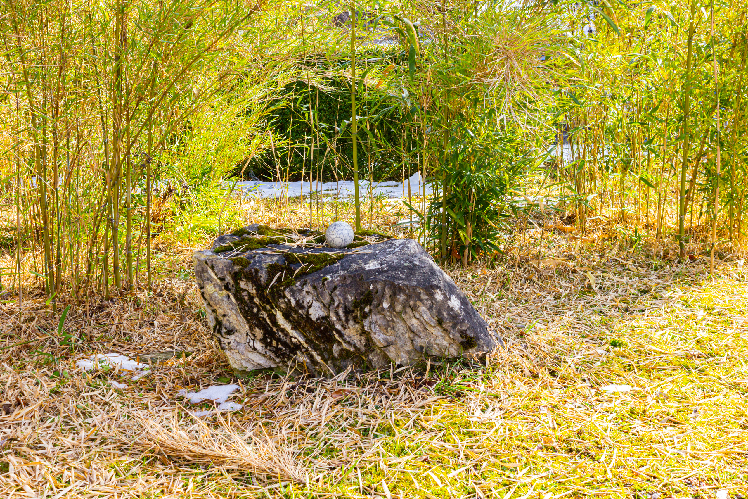 Bambusgarten mit Steinskulptur