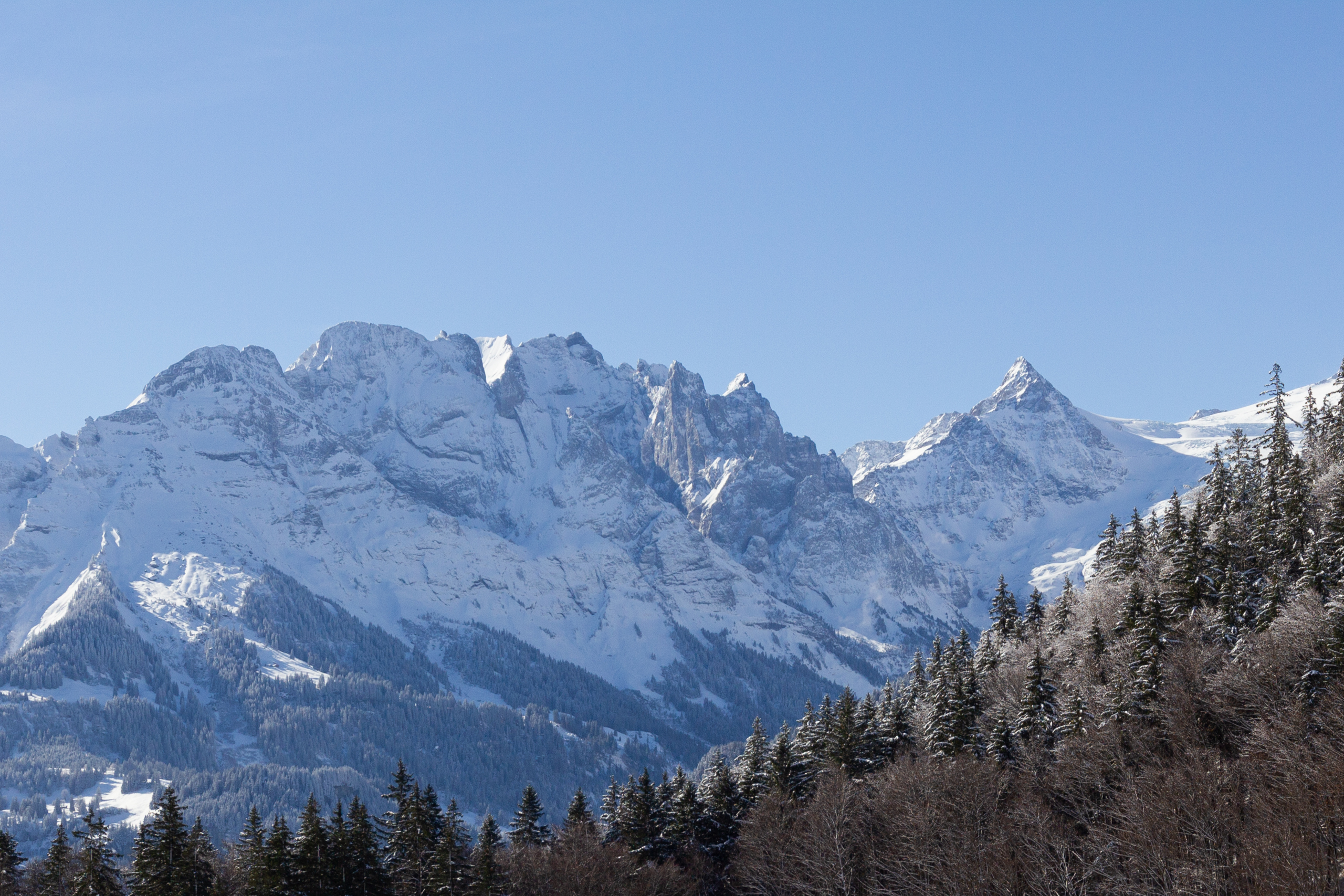 Bergpanorama mit Schnee und Wald