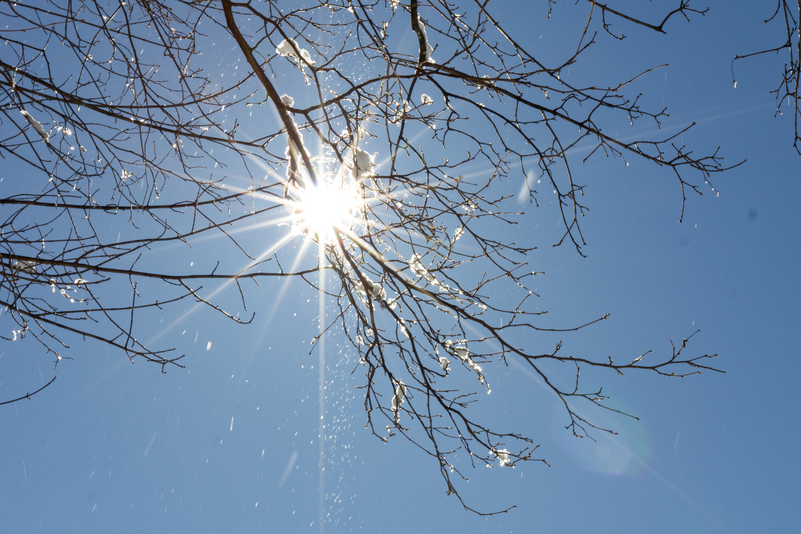 Winterlicher Blick in den Himmel mit Sonnenstern