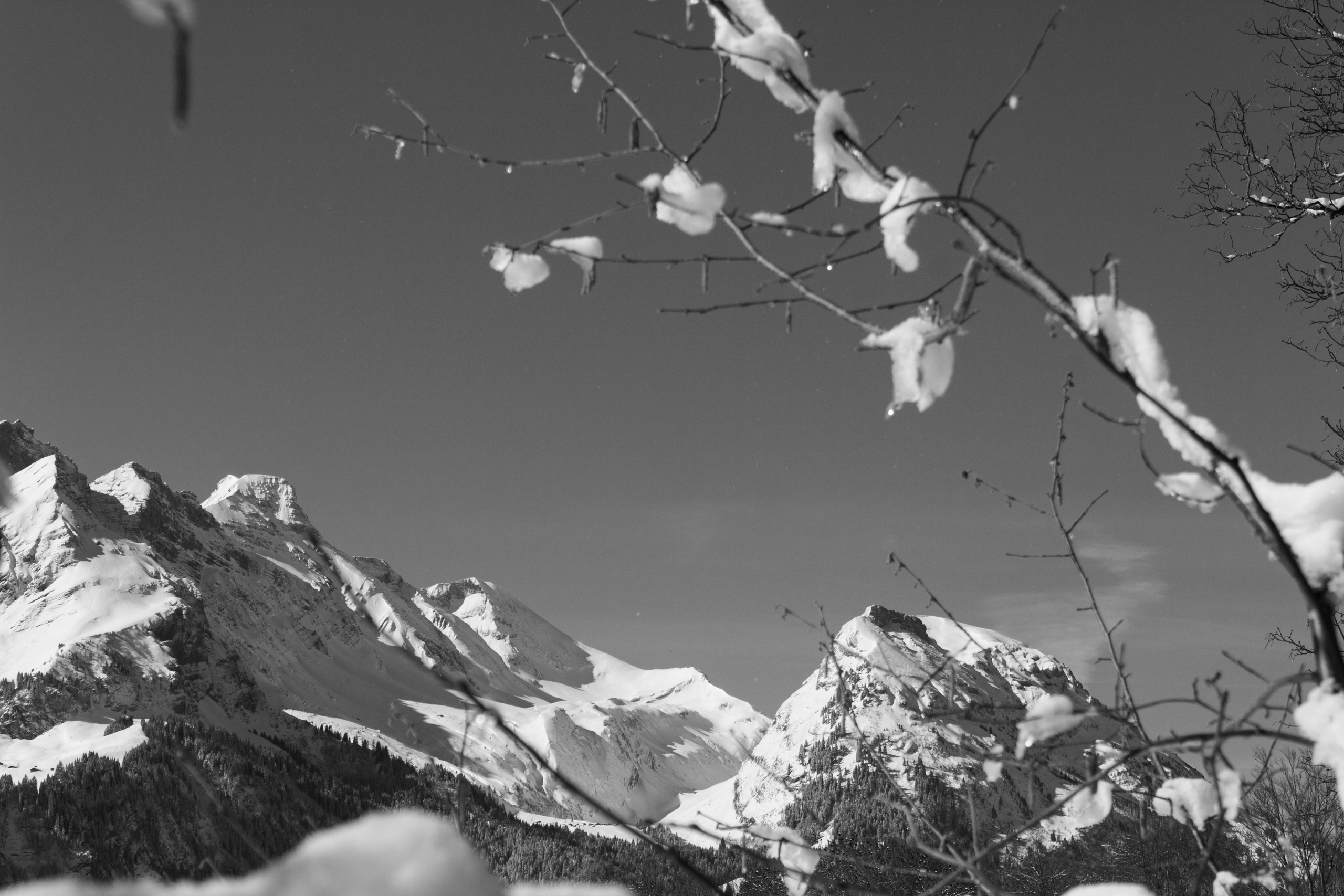 Schneebedeckte Berglandschaft