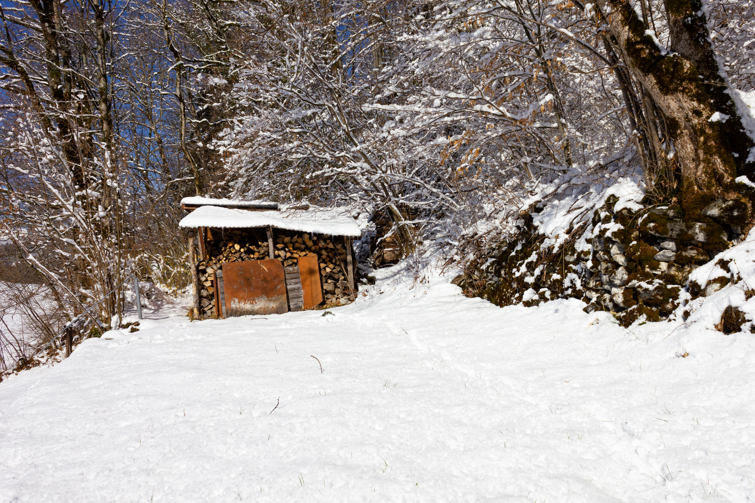 Verschneiter Wald mit Holzunterstand