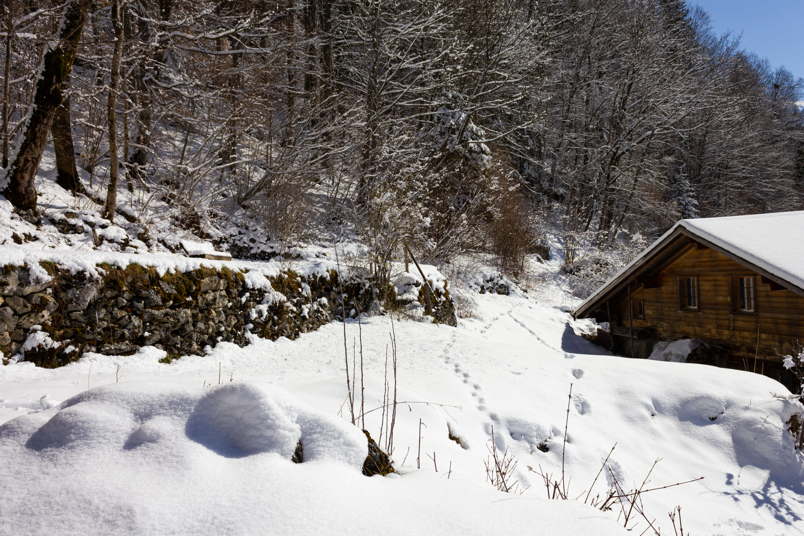 Verschneite Waldlandschaft mit Holzhaus