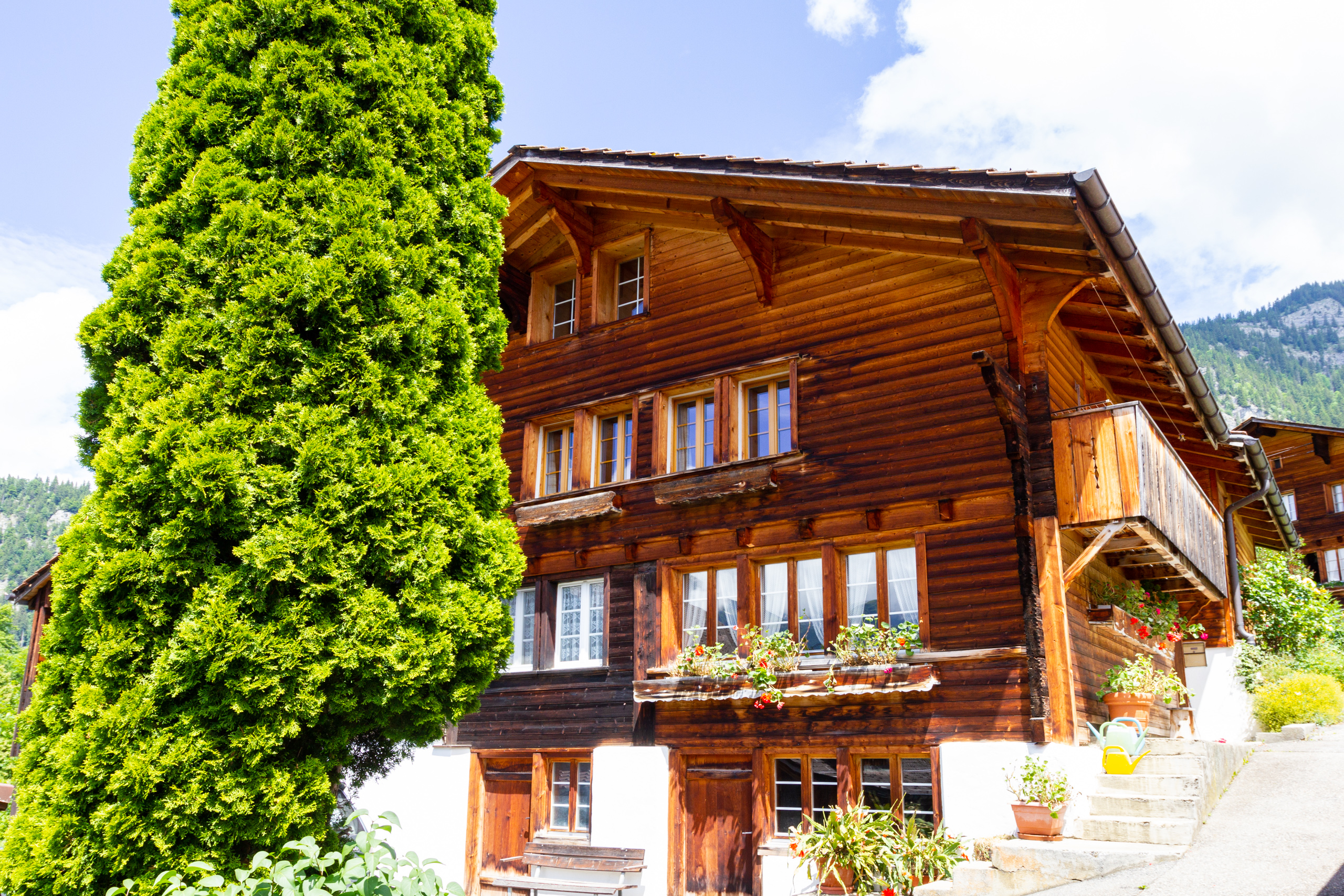 Alpen-Holzhaus mit Balkon und großem Baum