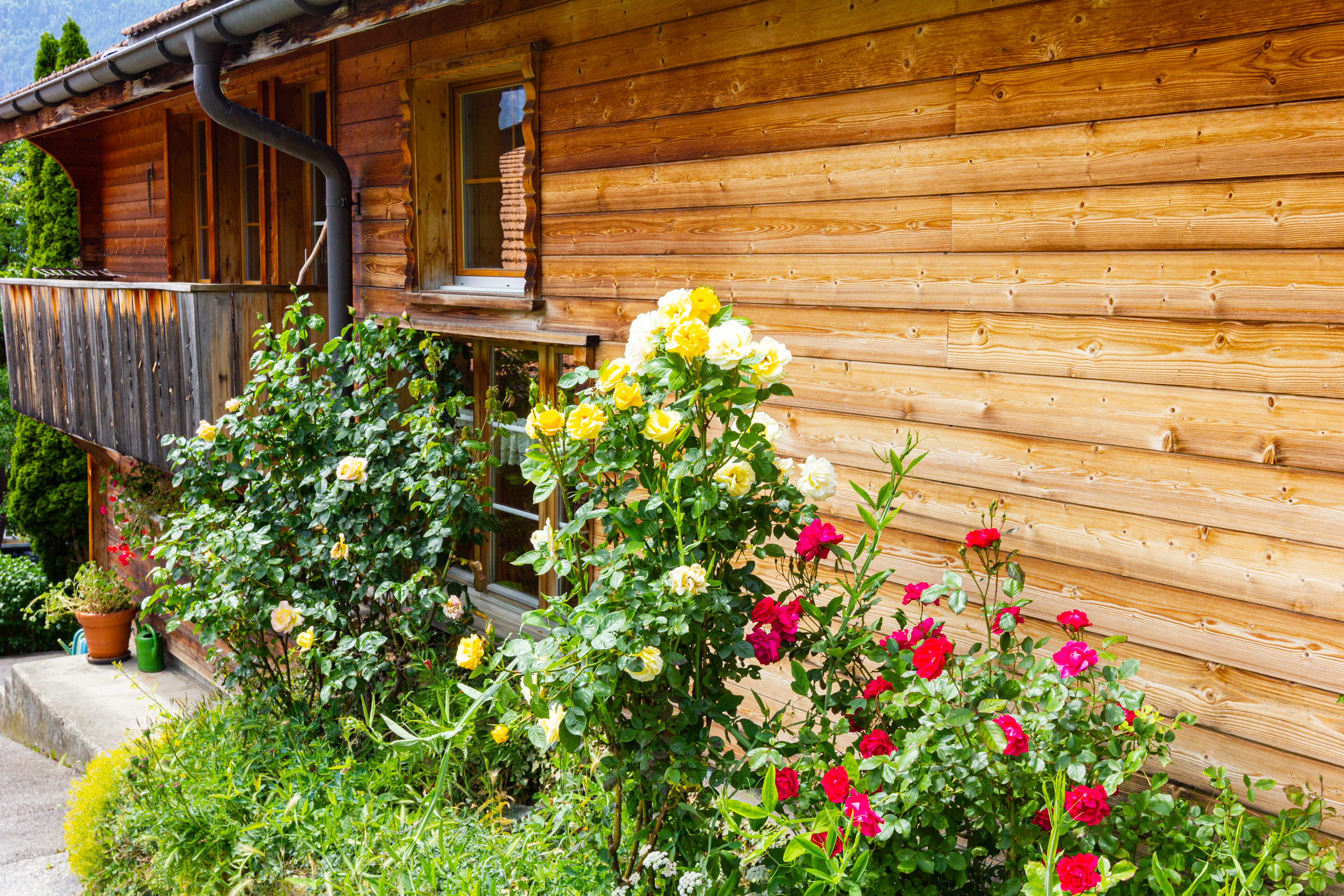 Holzhaus mit blühendem Garten