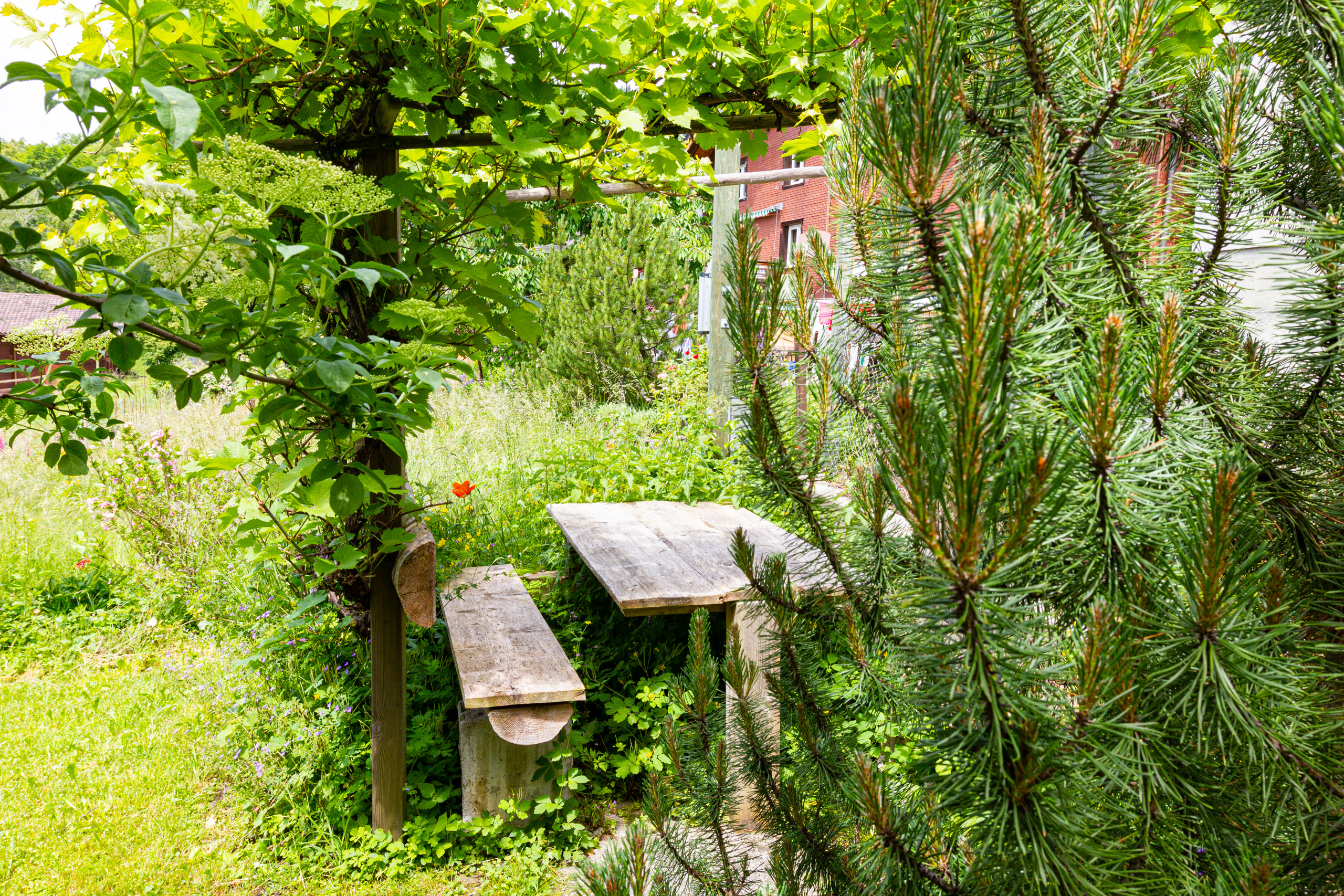 Garten mit Holzsitzplatz unter Laubdach