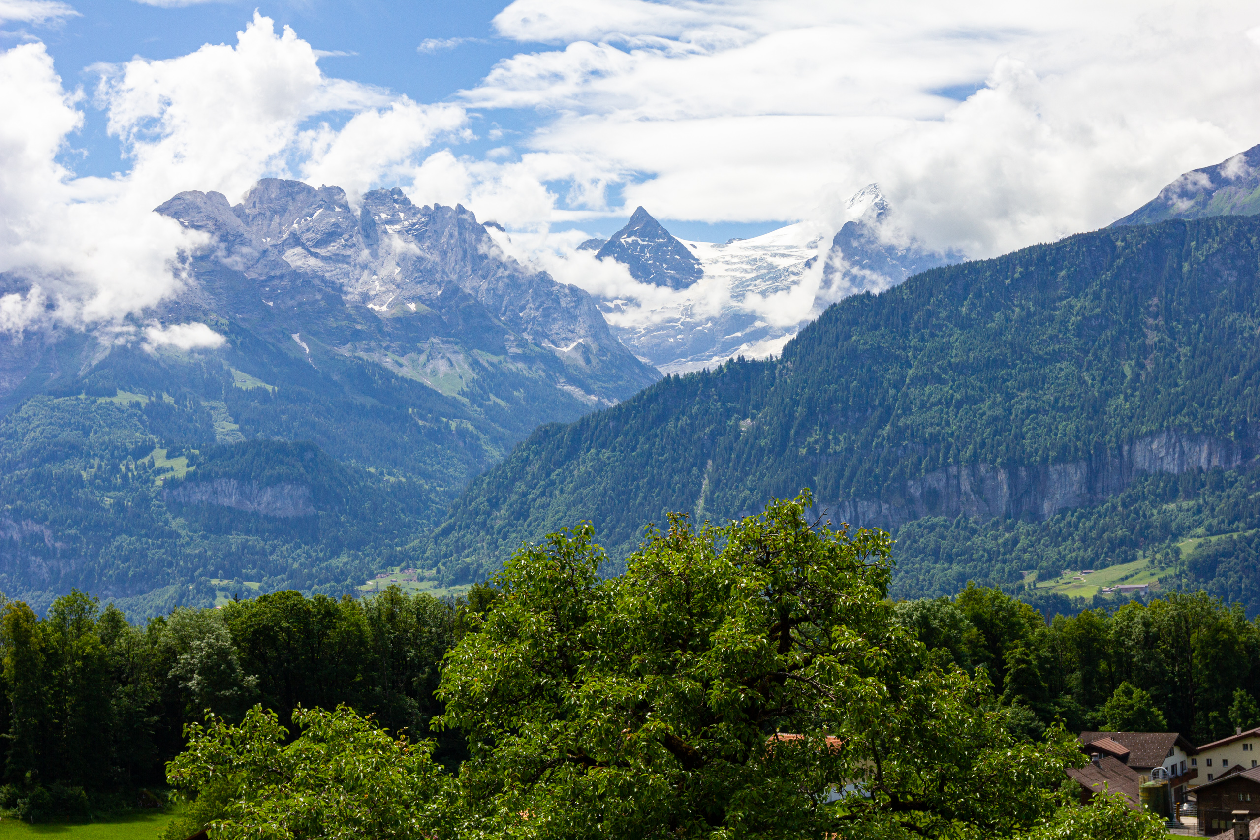 Alpenpanorama mit Bergblick