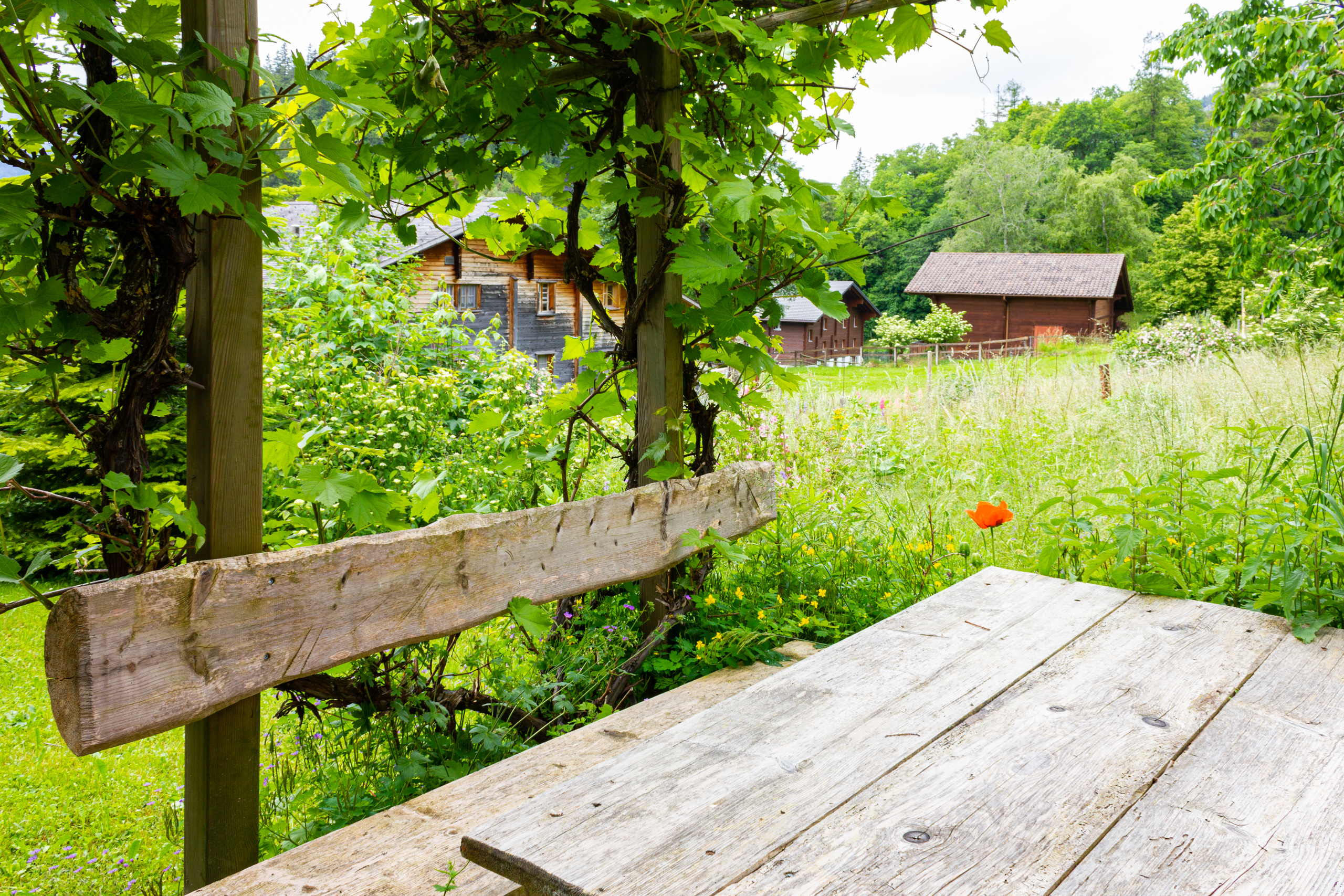 Ländlicher Garten mit Holztisch