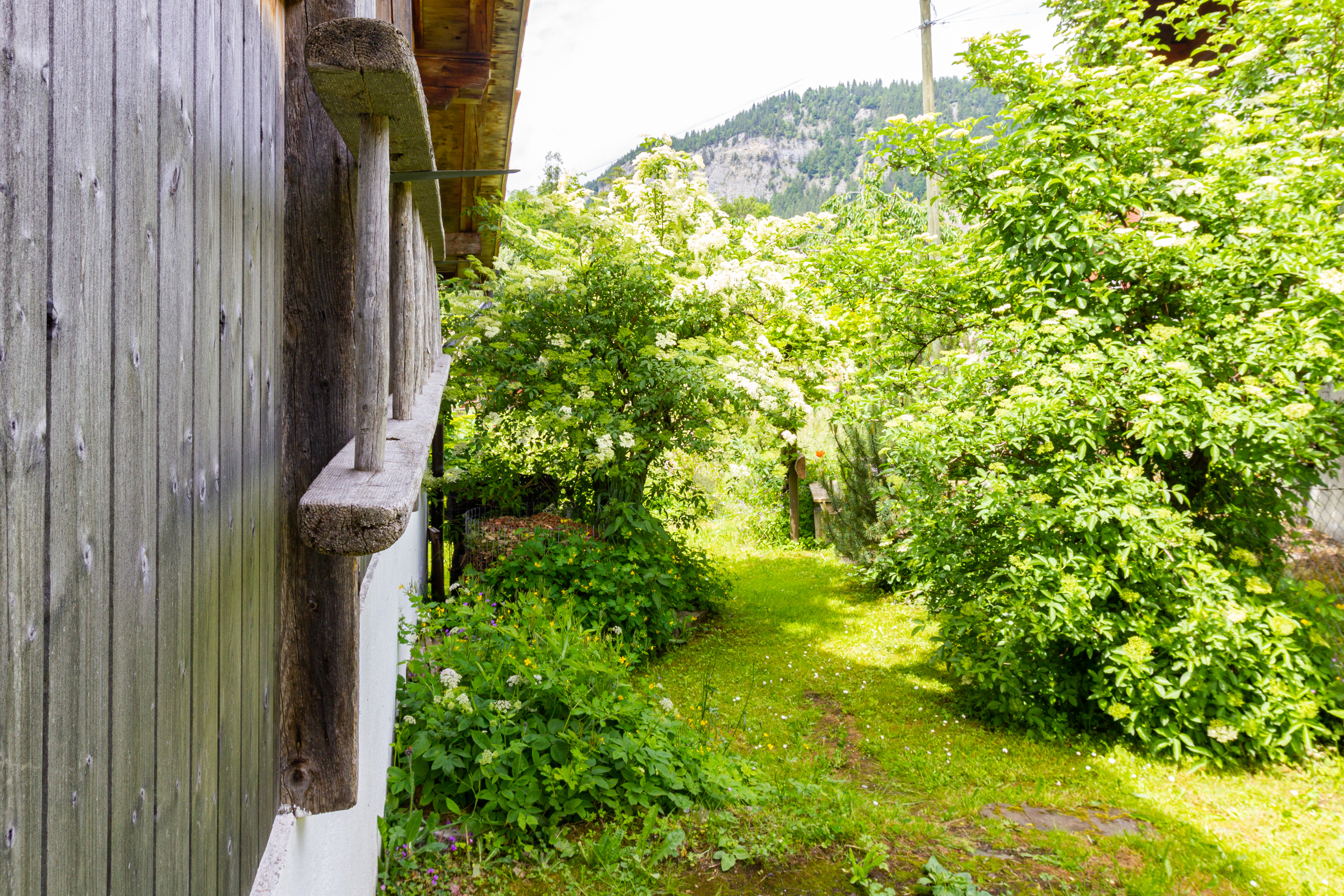 Garten mit Holzfassade und Bergblick