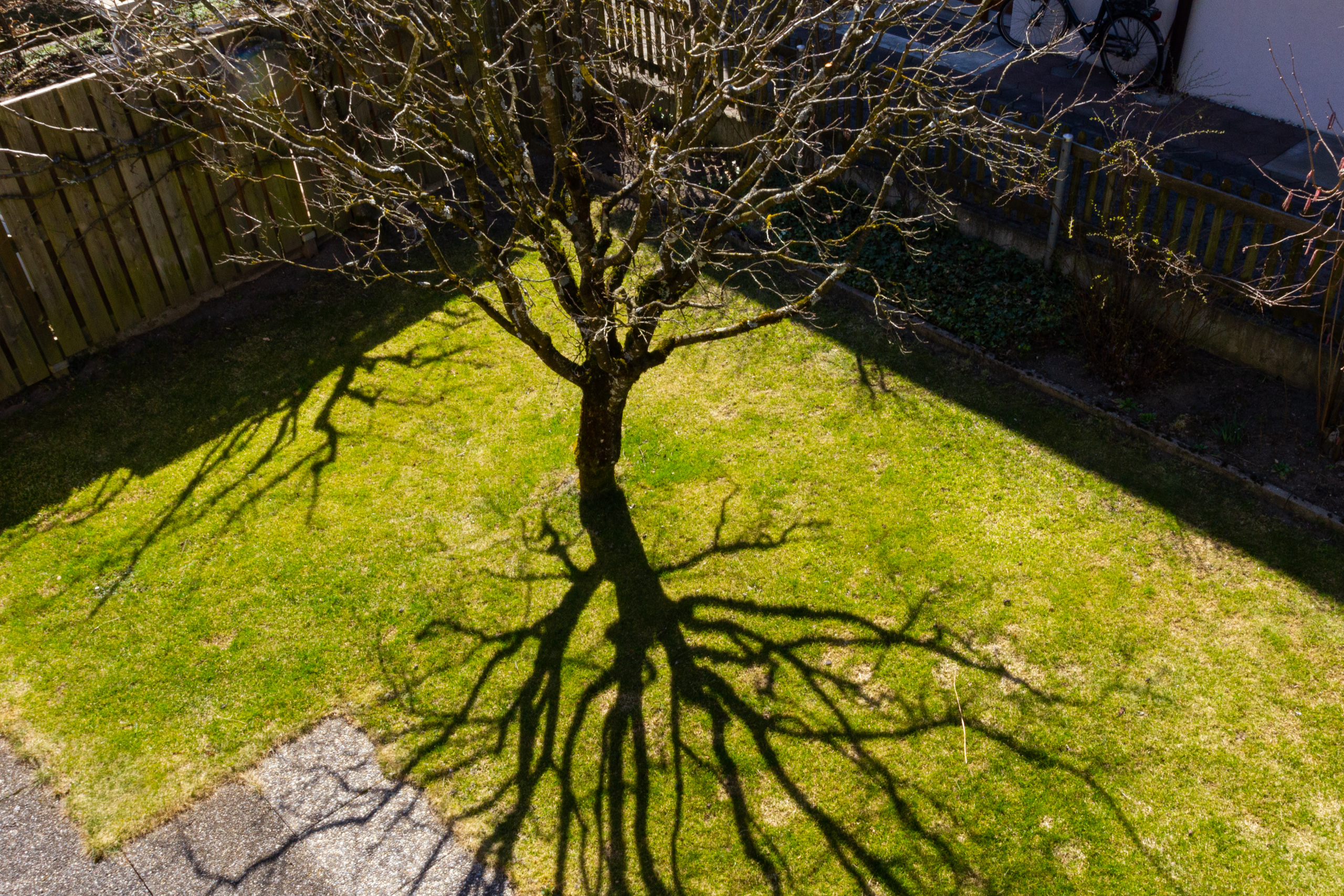 Garten mit Baum und Schatten