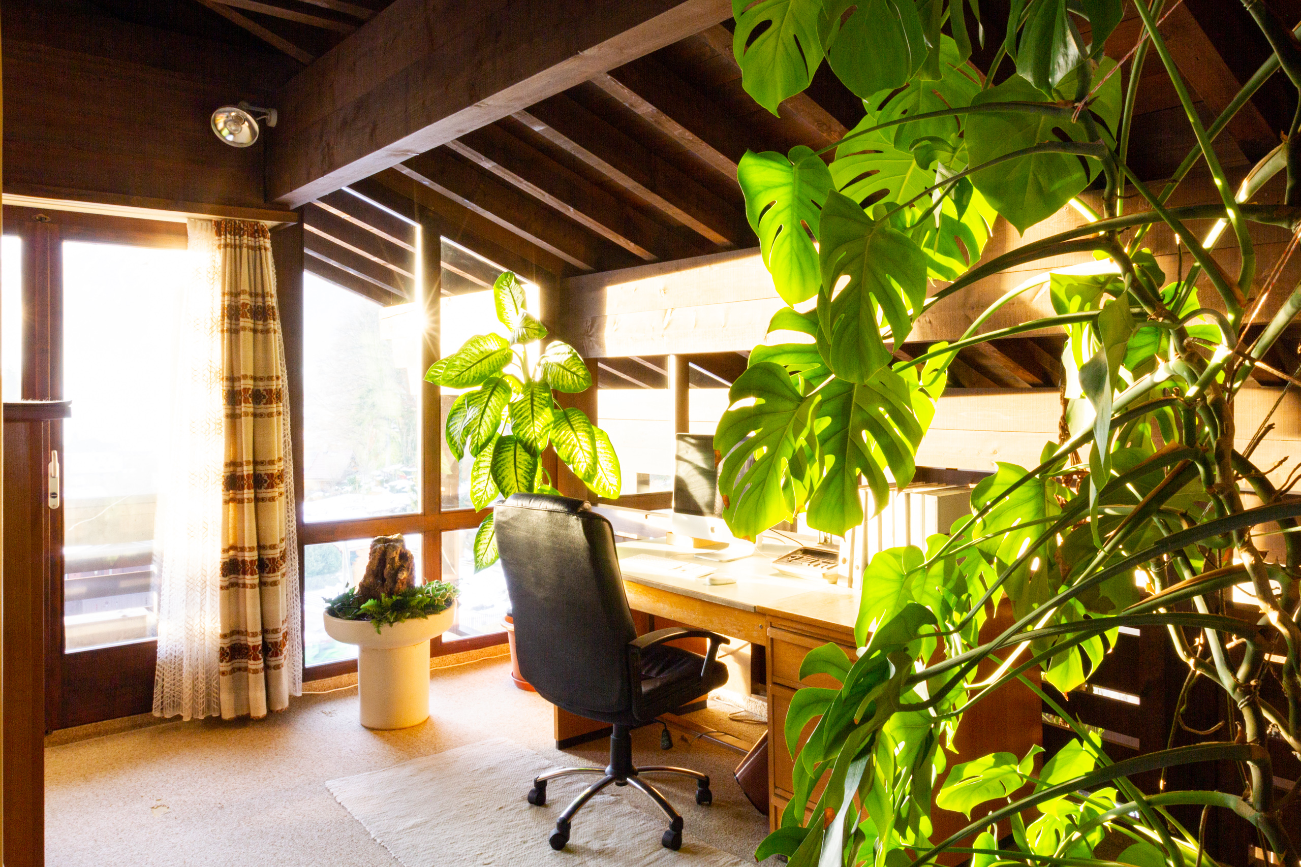Heller Arbeitsbereich mit vielen Pflanzen