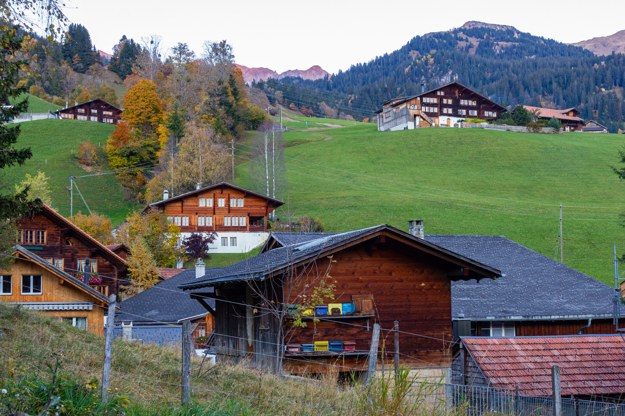 Alpines Dorf mit Chalets in Hanglage