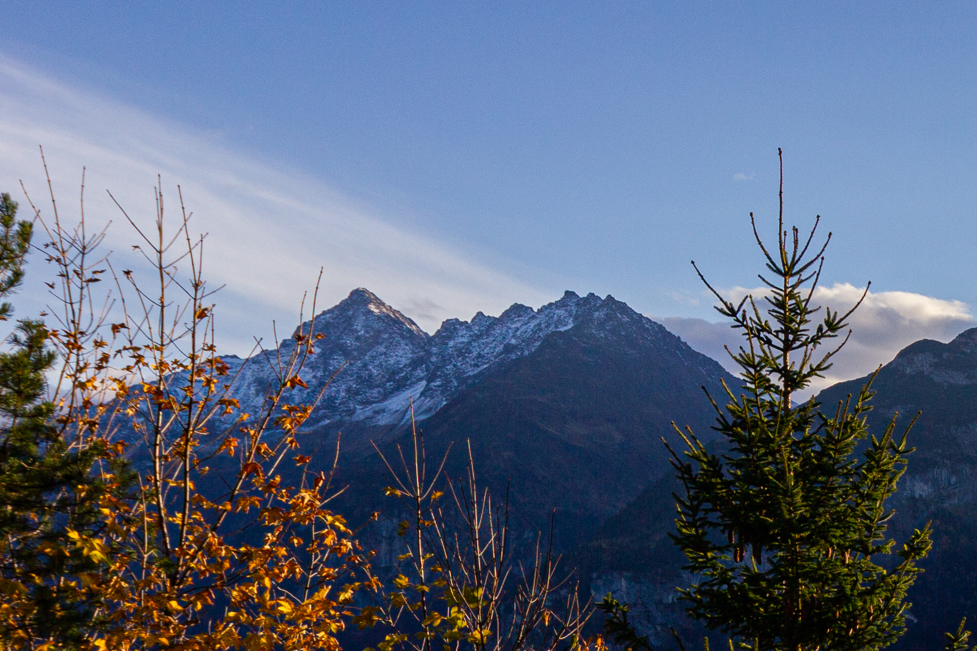 Berglandschaft mit Bäumen
