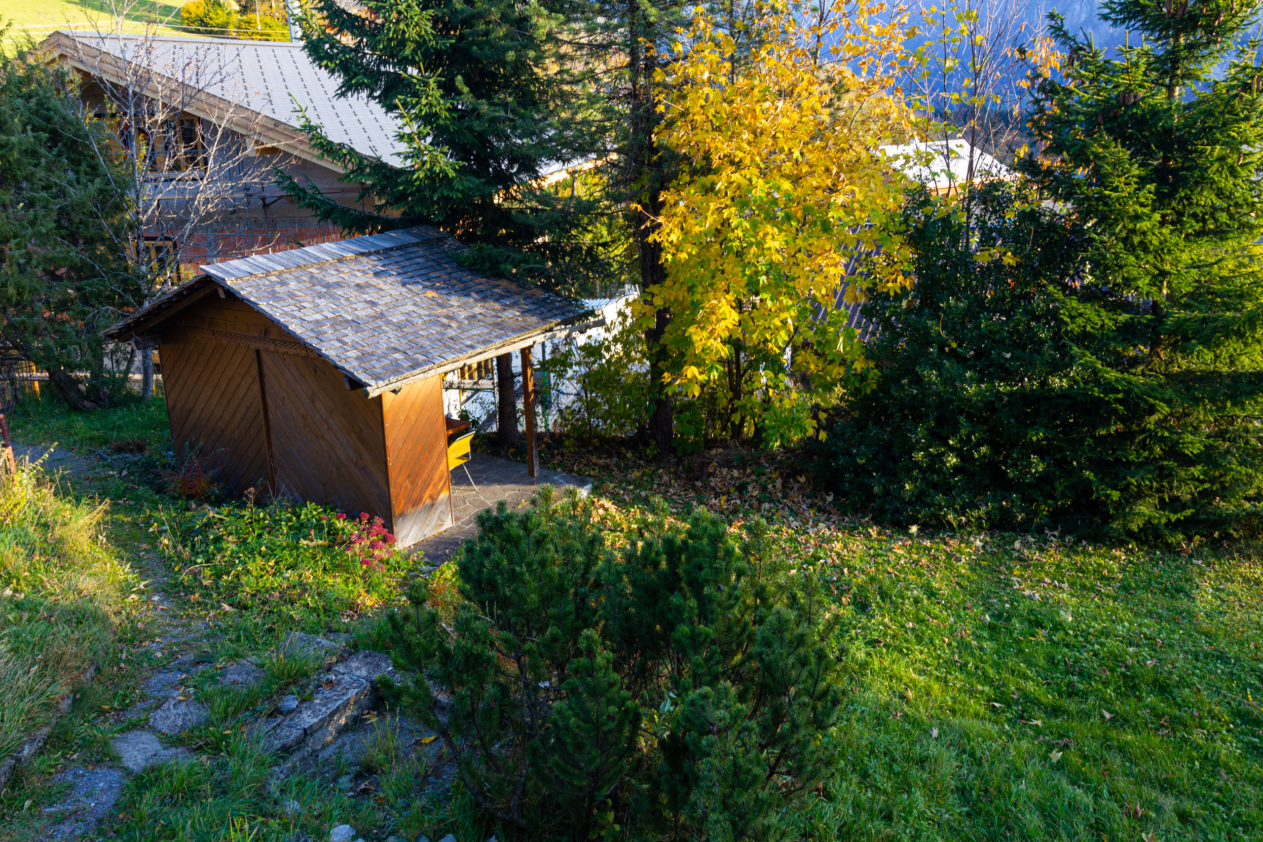 Garten mit kleinem Holzschuppen
